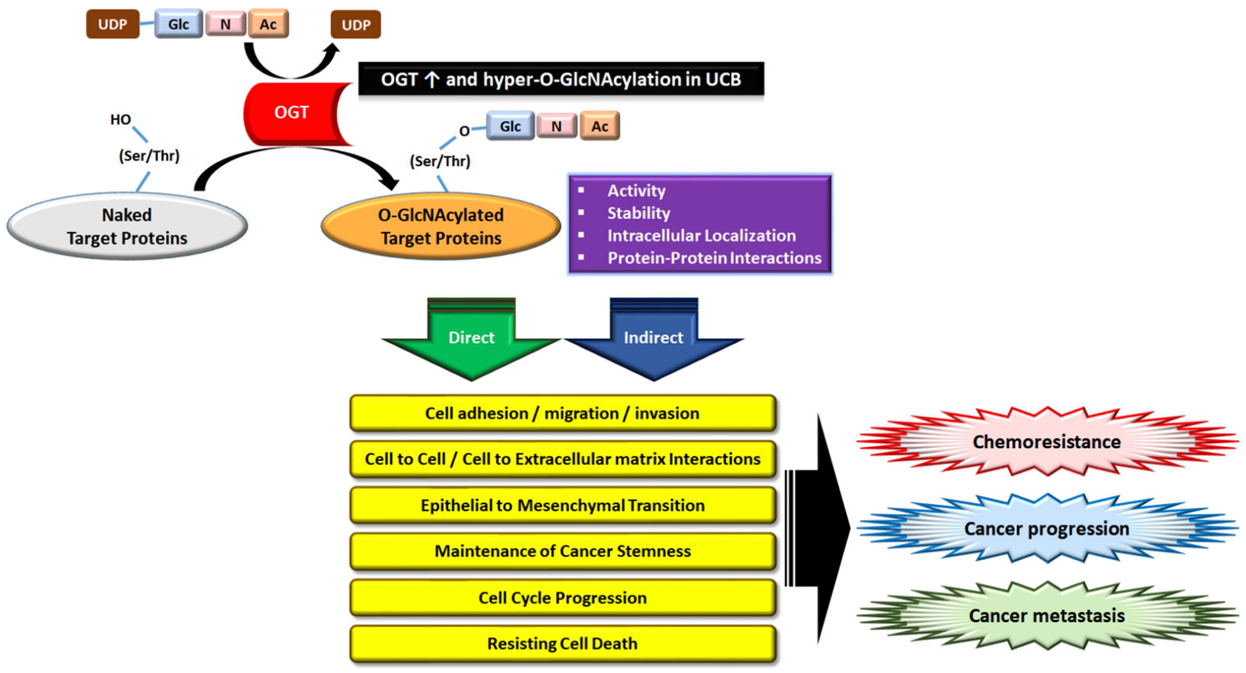 Biomedicines 10 01162 g006 550