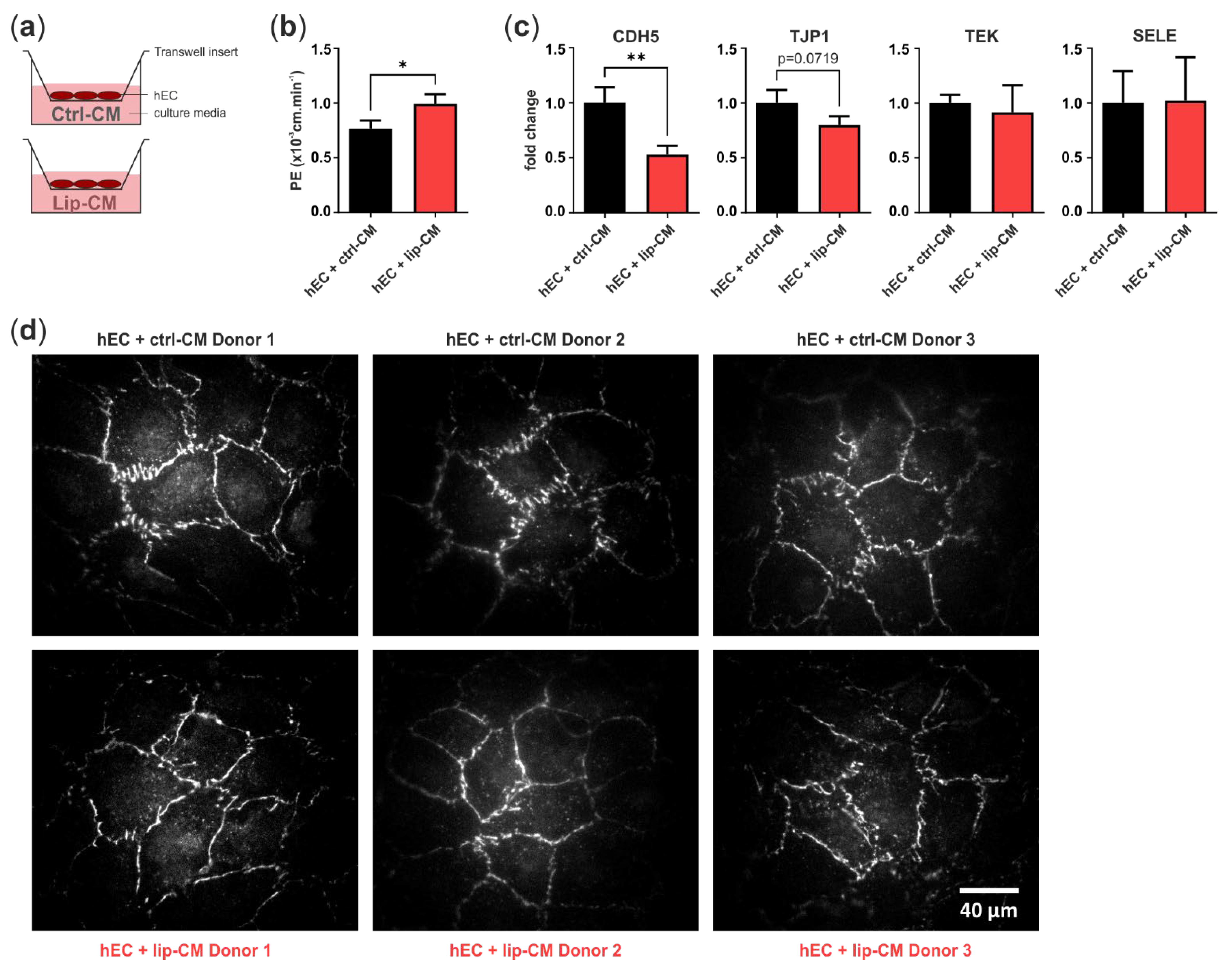 Biomedicines 10 01163 g006