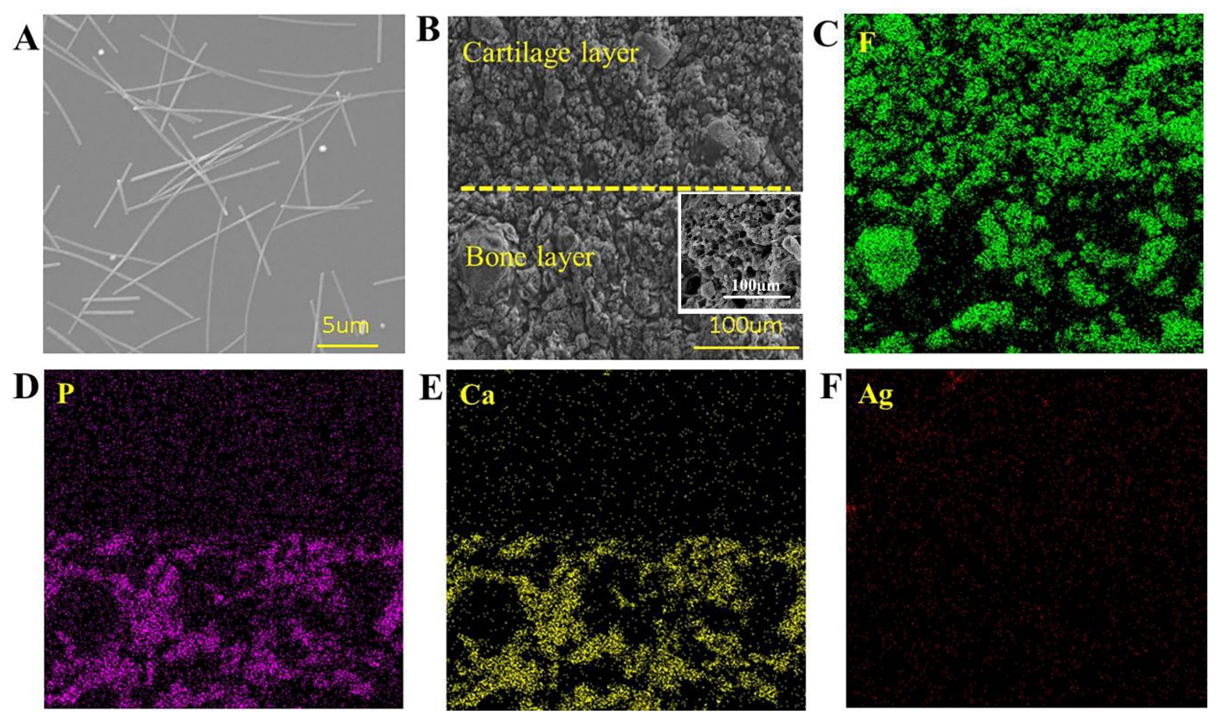 Biomedicines 10 01165 g006