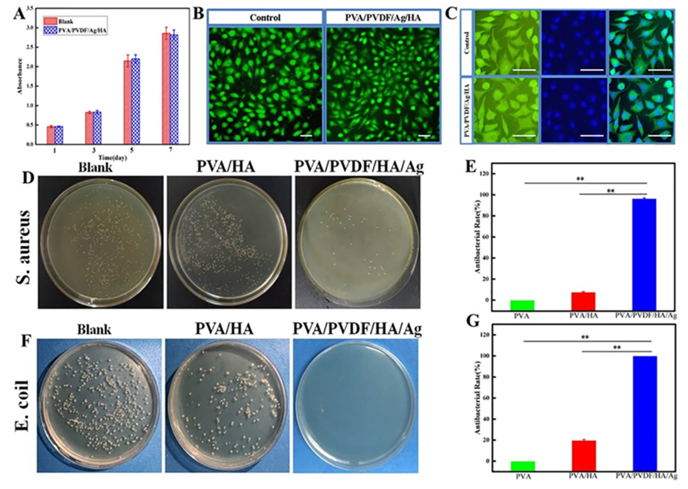 Biomedicines 10 01165 g007