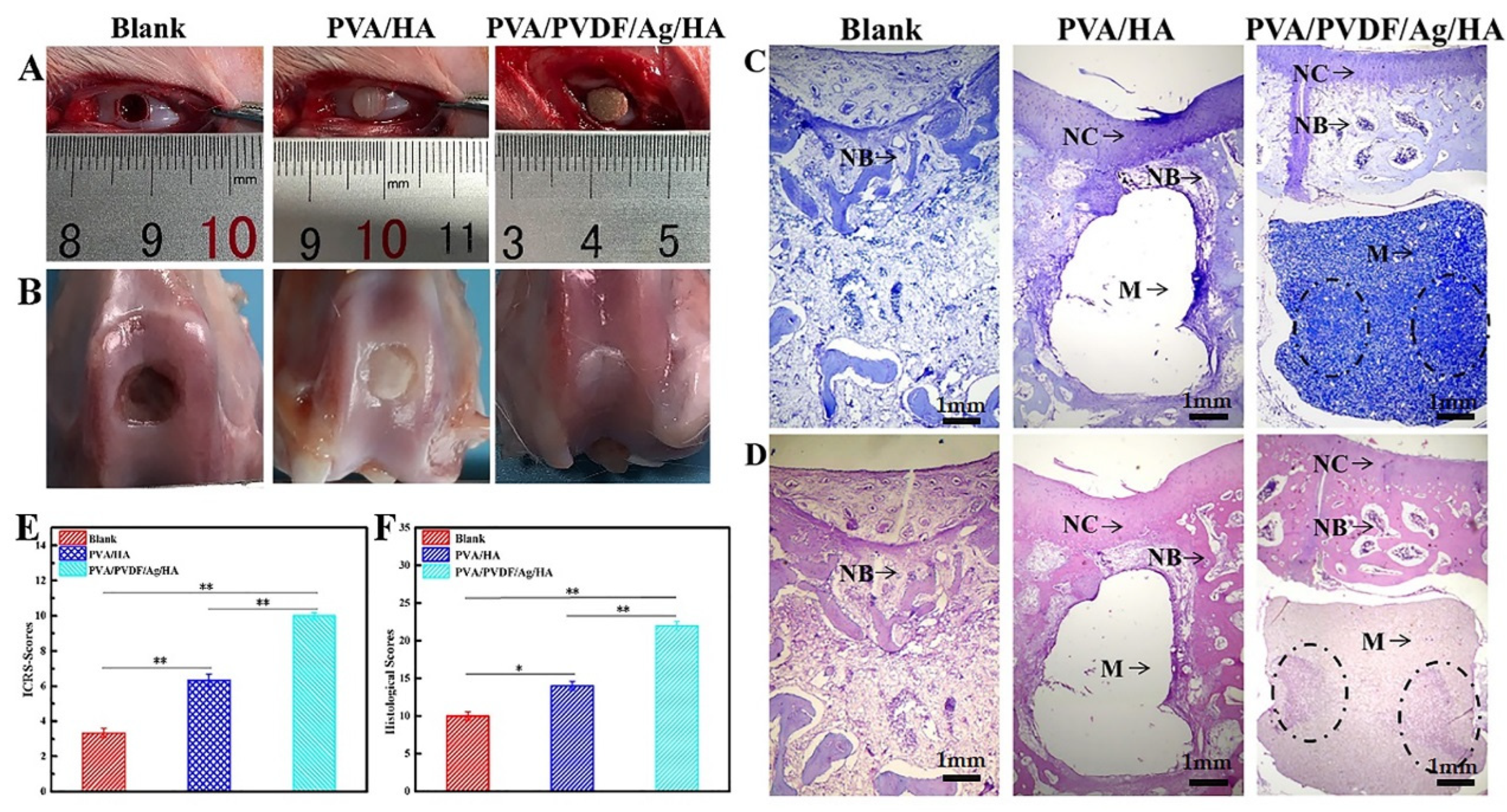 Biomedicines 10 01165 g009