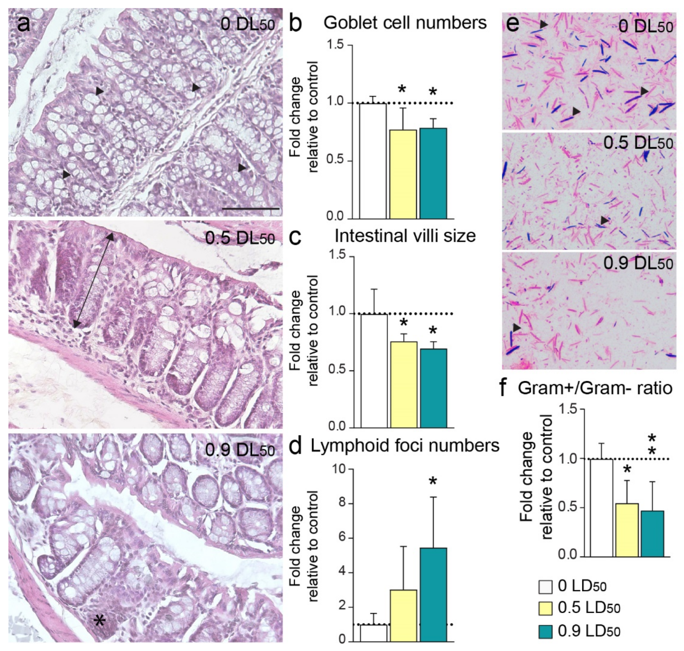 Biomedicines 10 01167 g007 Biomedicines 10 01167 g007