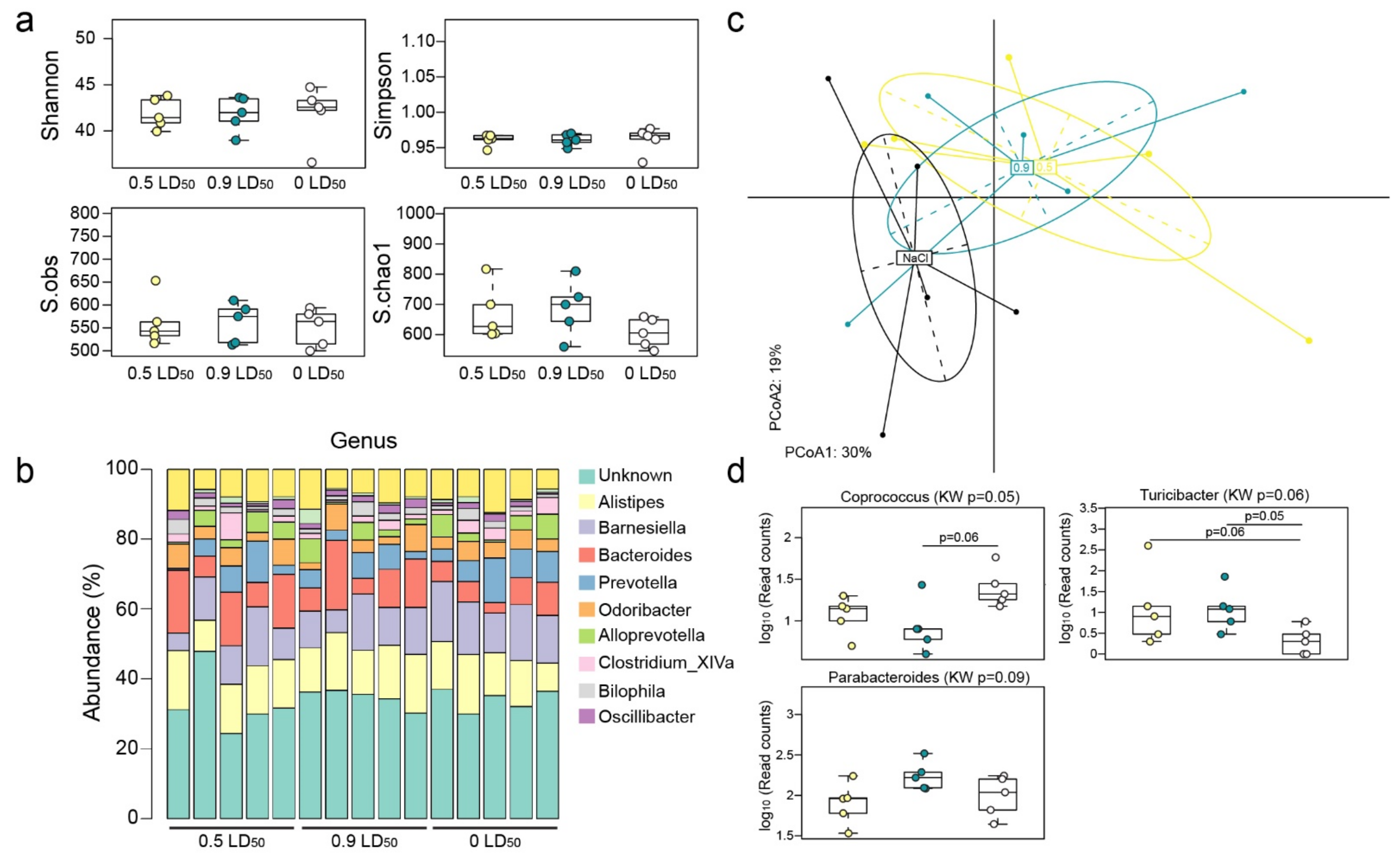 Biomedicines 10 01167 g008 Biomedicines 10 01167 g008