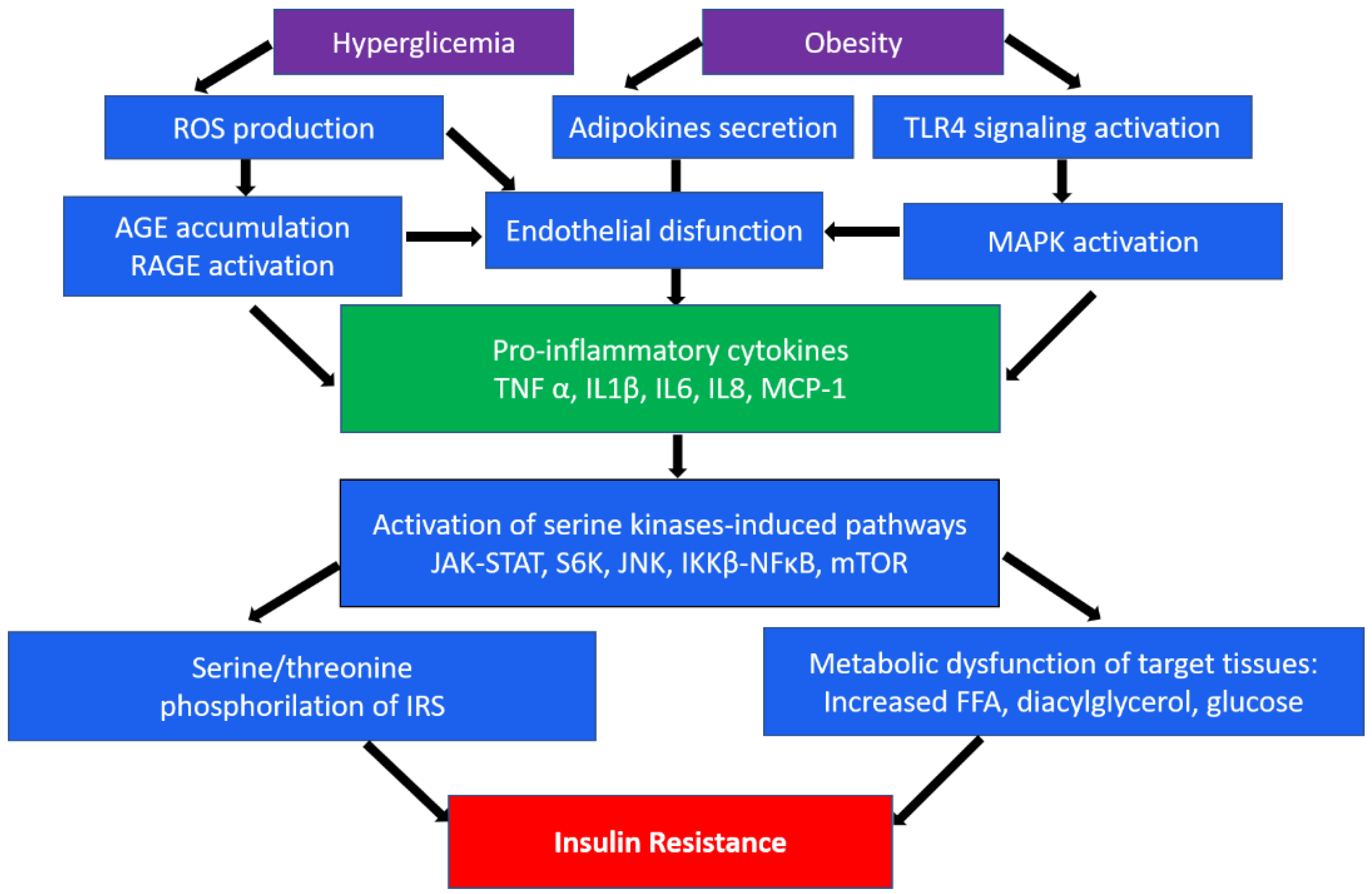 Biomedicines 10 01168 g001 550