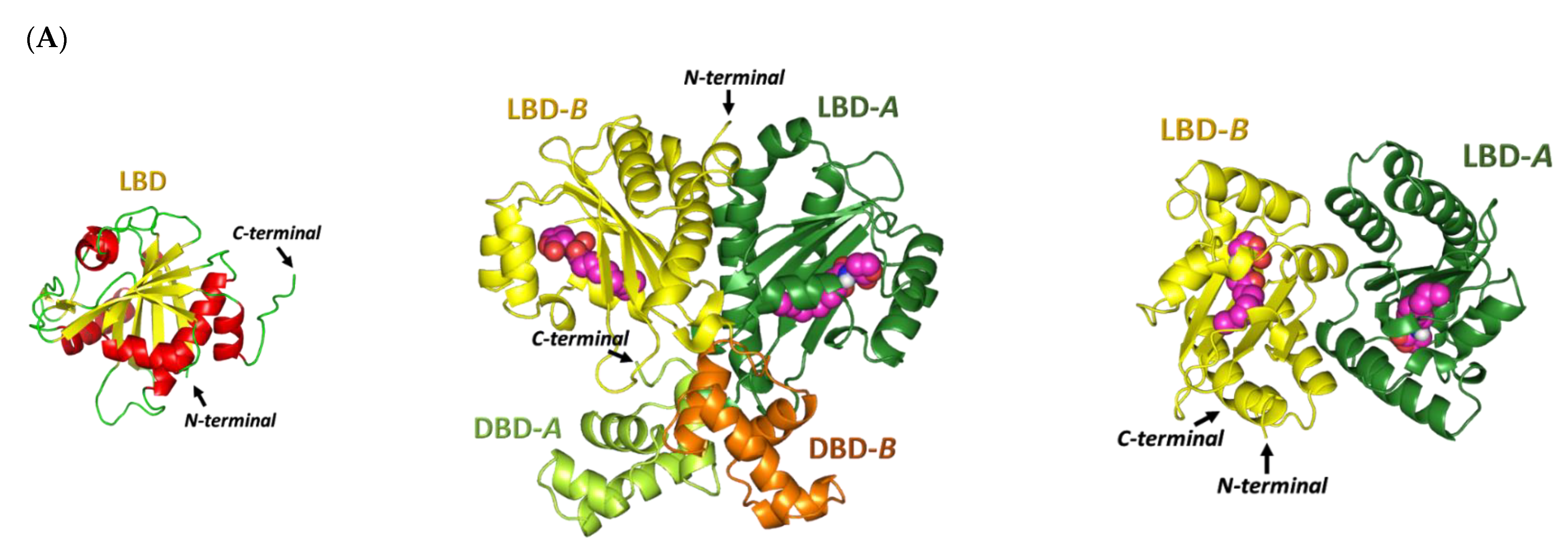 Biomedicines 10 01169 g006a