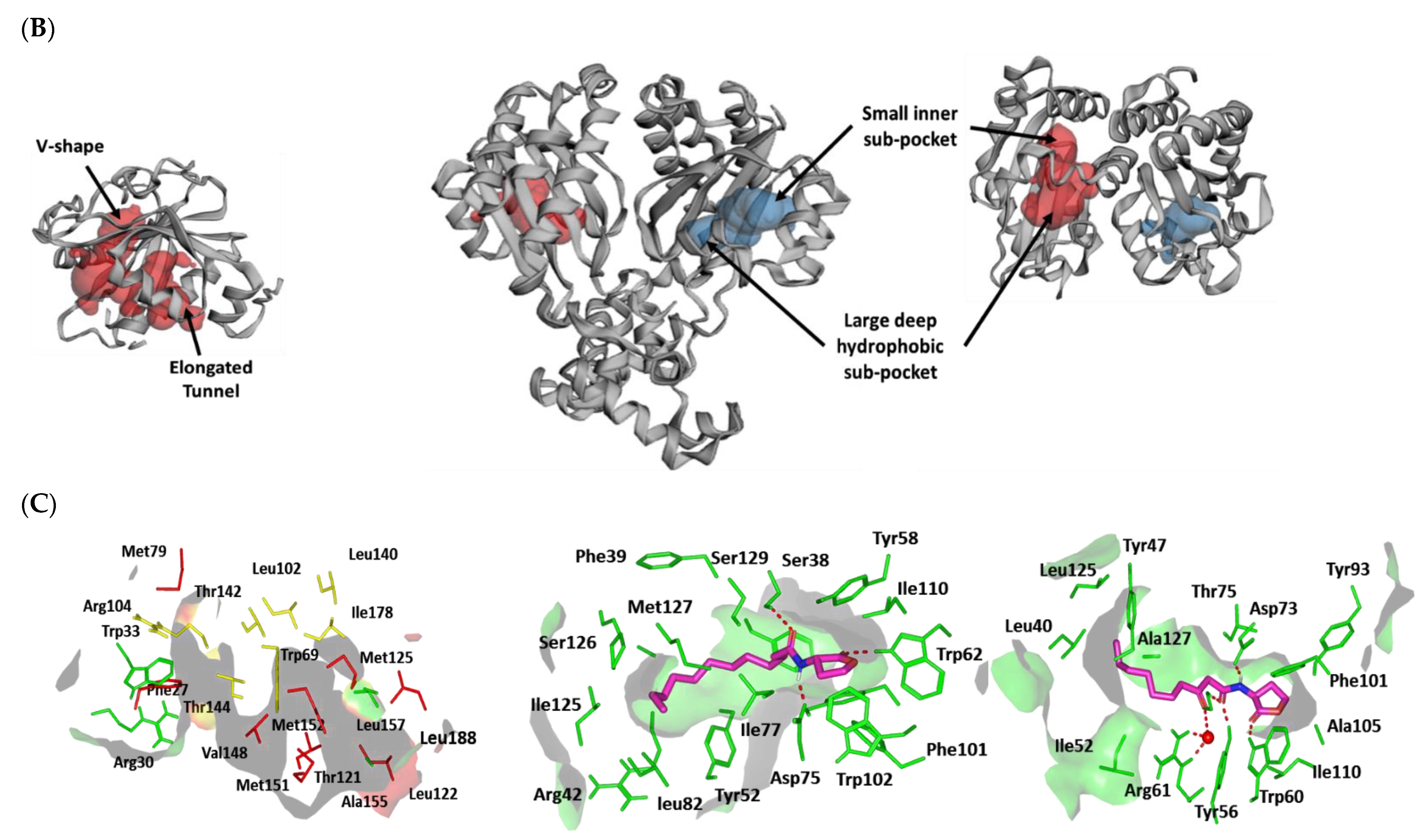Biomedicines 10 01169 g006b