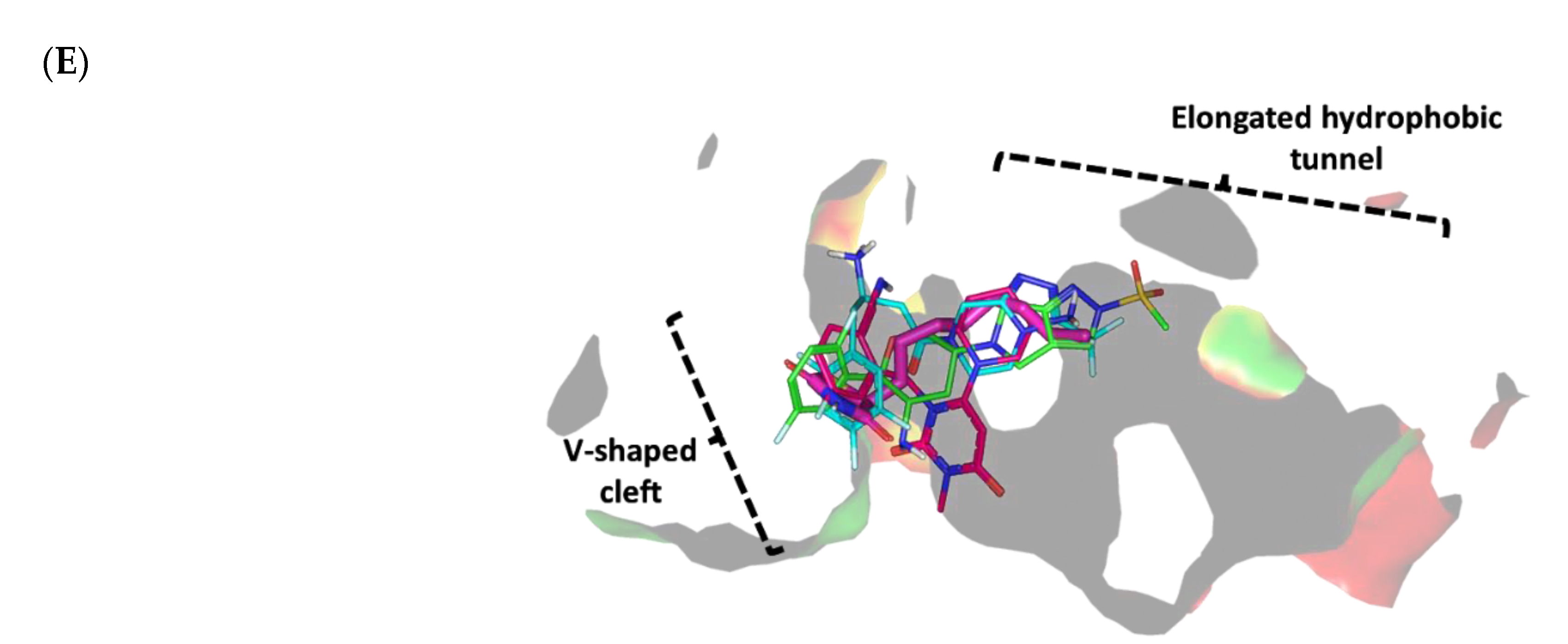 Biomedicines 10 01169 g007b