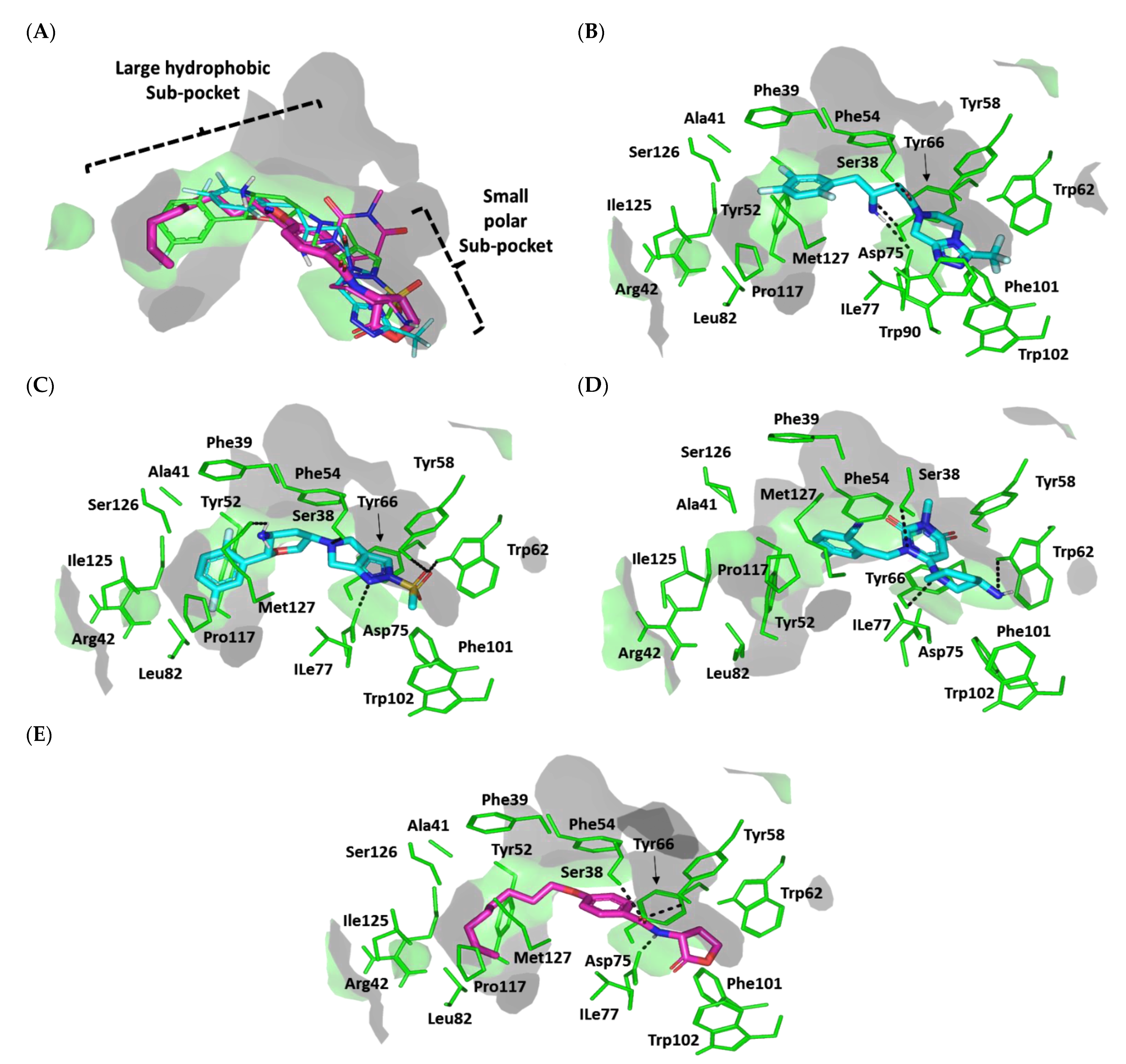 Biomedicines 10 01169 g008