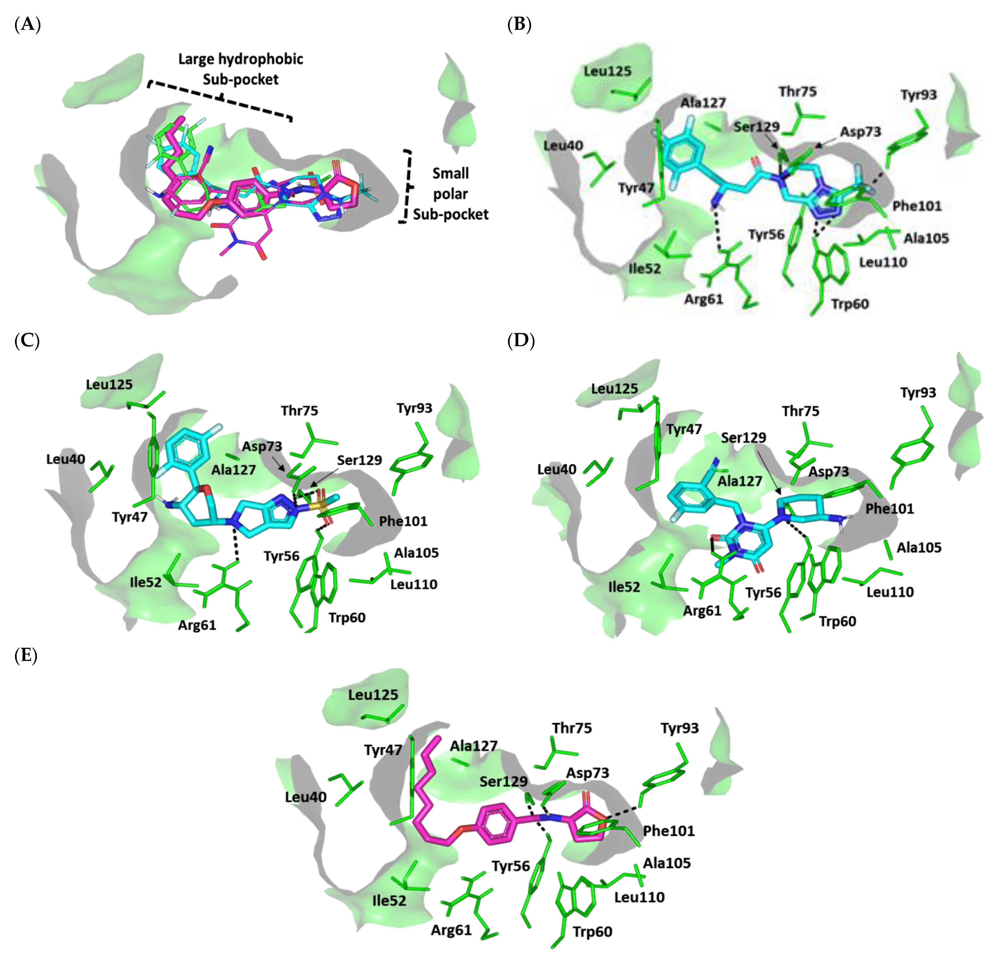 Biomedicines 10 01169 g009