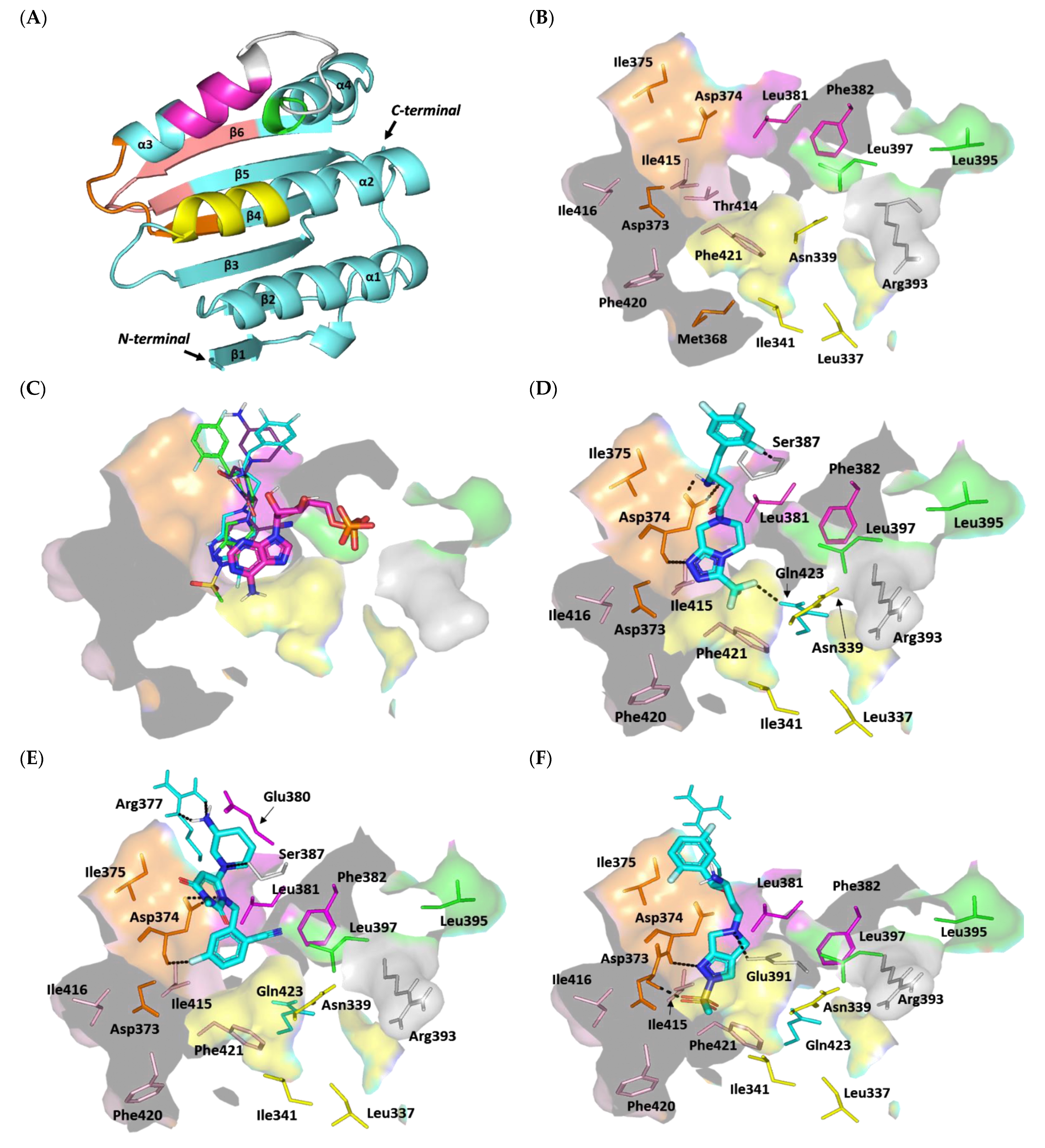 Biomedicines 10 01169 g010a