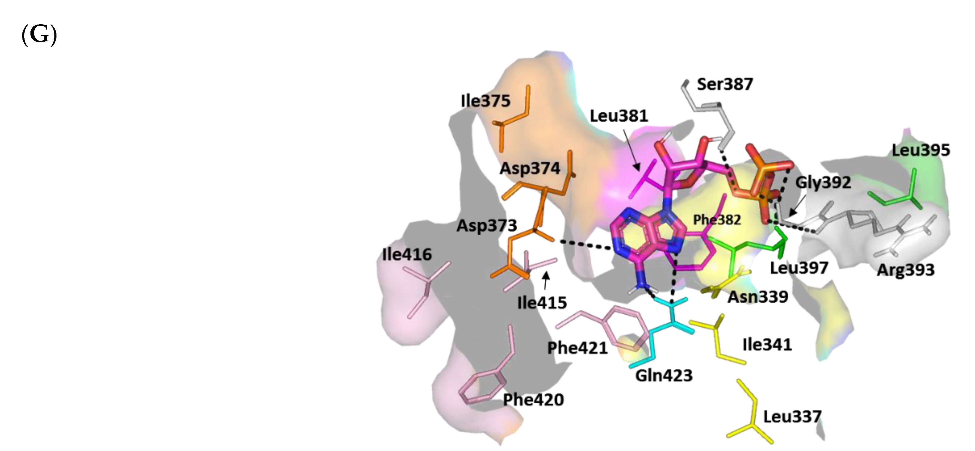 Biomedicines 10 01169 g010b