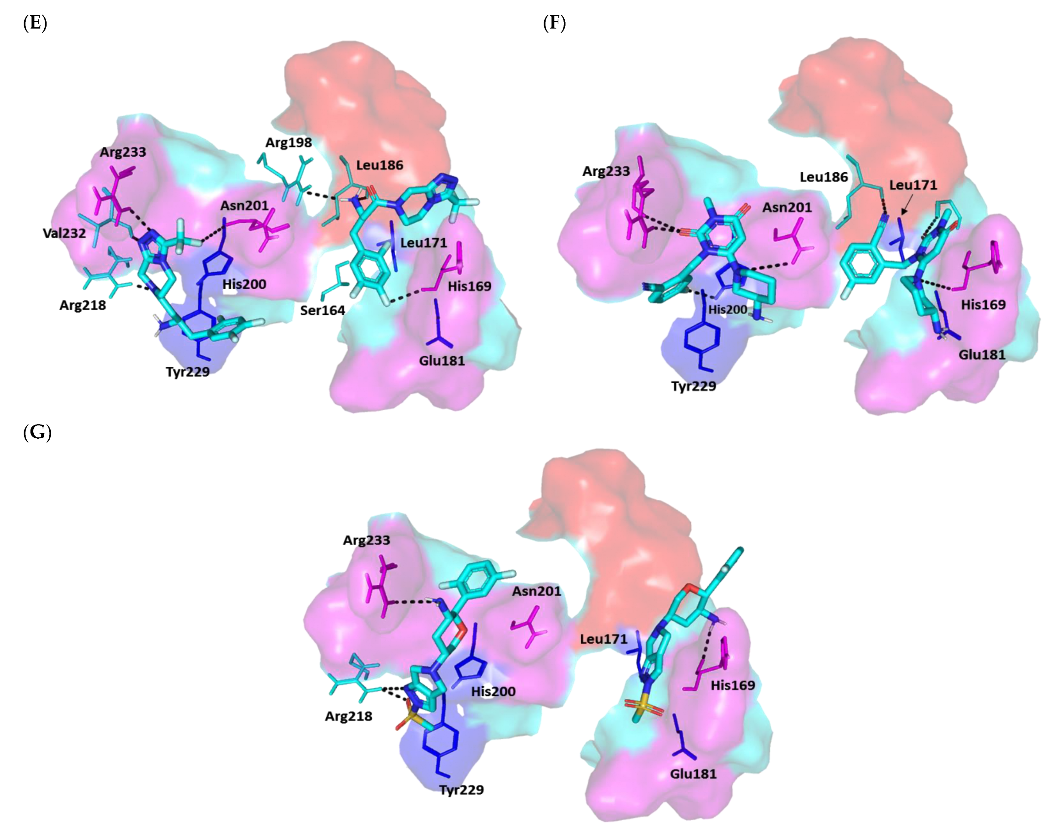 Biomedicines 10 01169 g011b