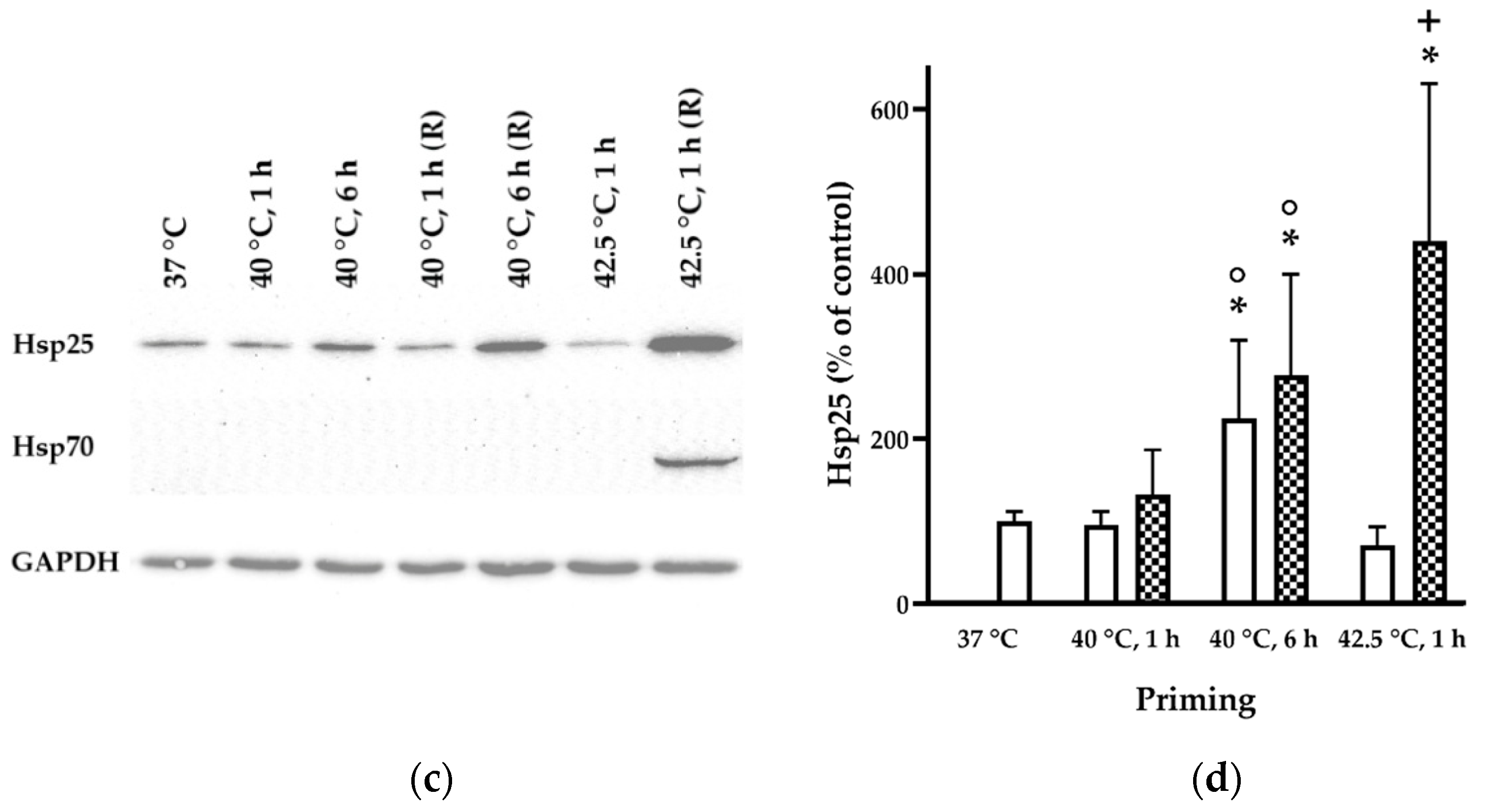 Biomedicines 10 01172 g001b 550