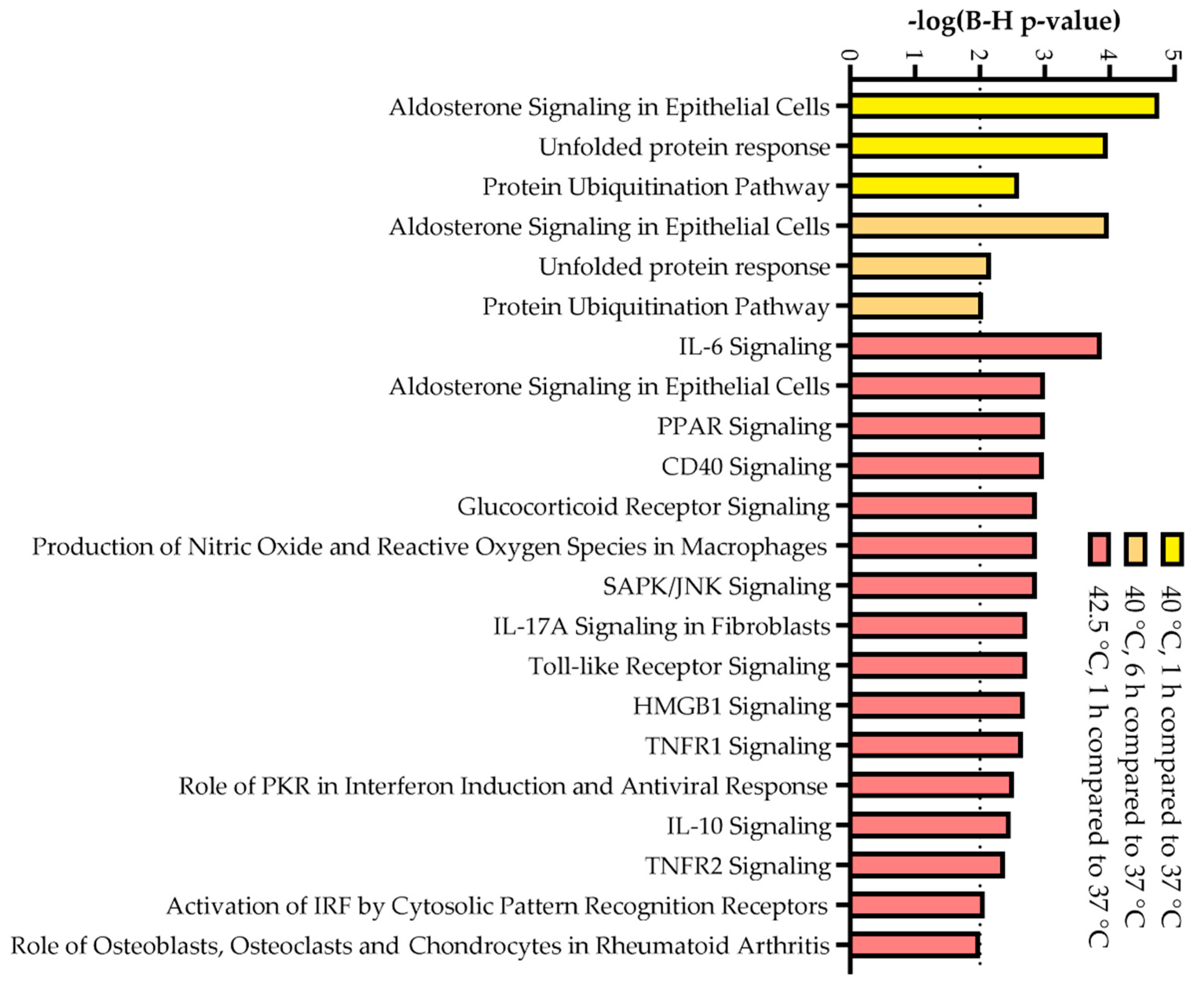 Biomedicines 10 01172 g005 550