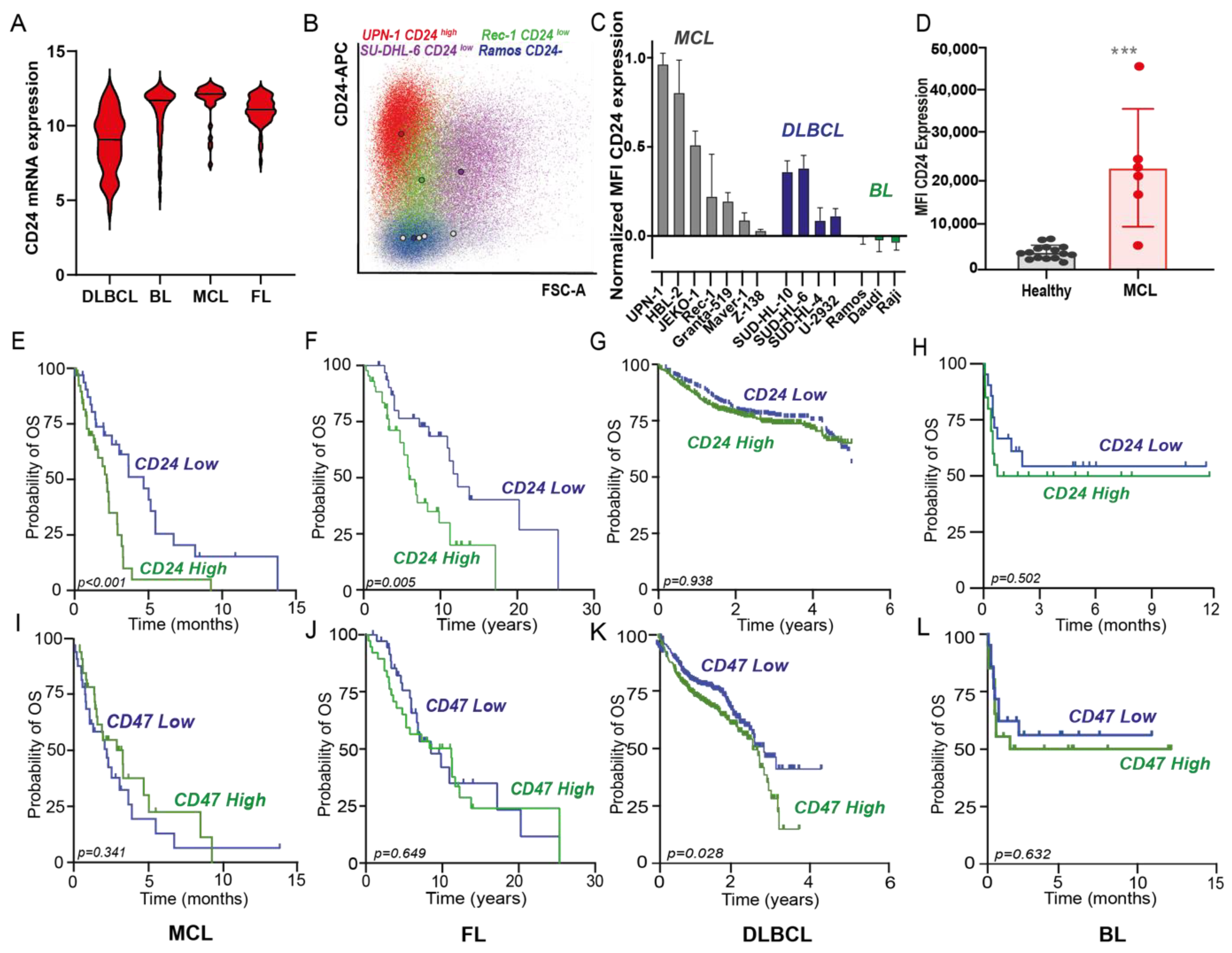 Biomedicines 10 01175 g001 Biomedicines 10 01175 g001