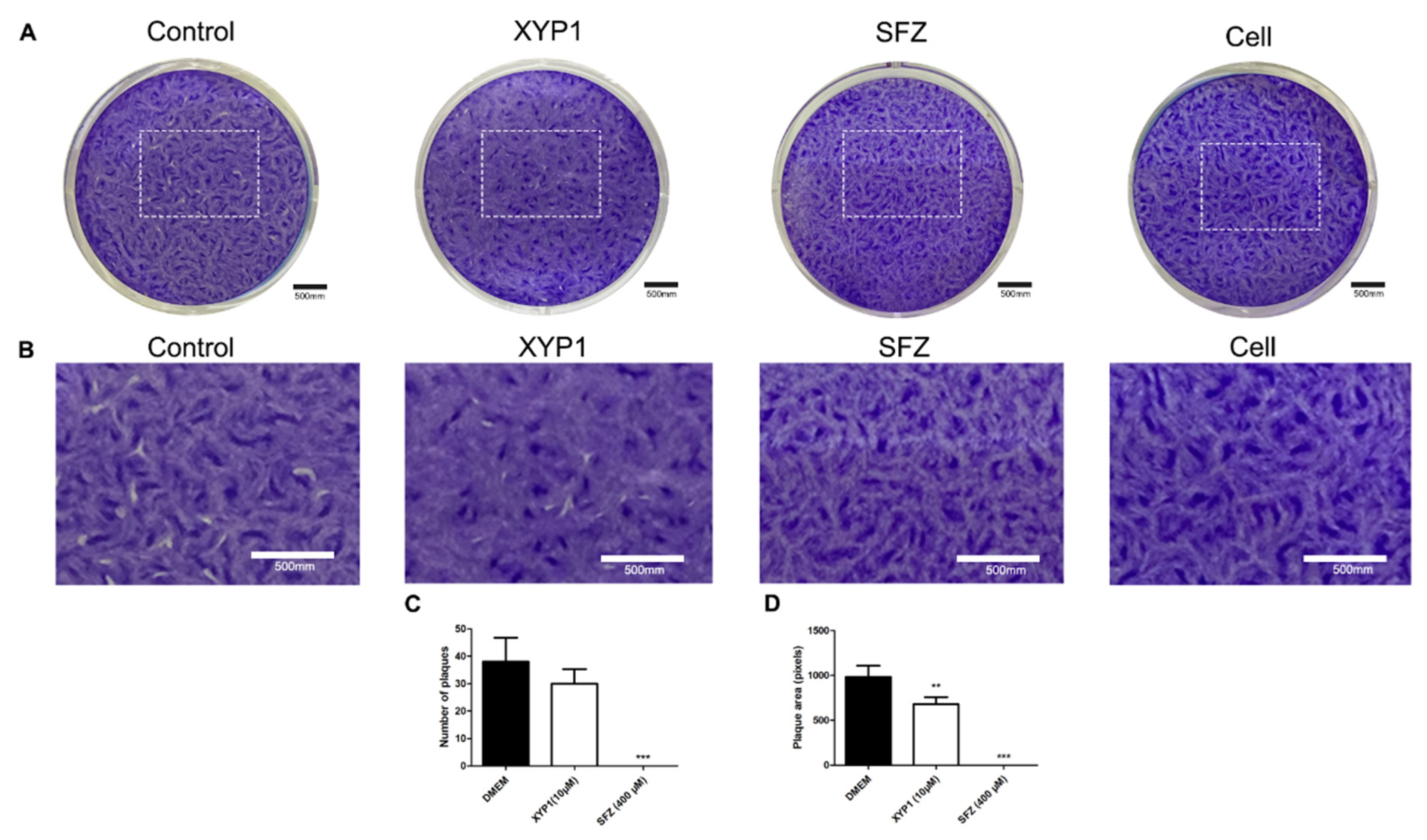Biomedicines 10 01176 i001
