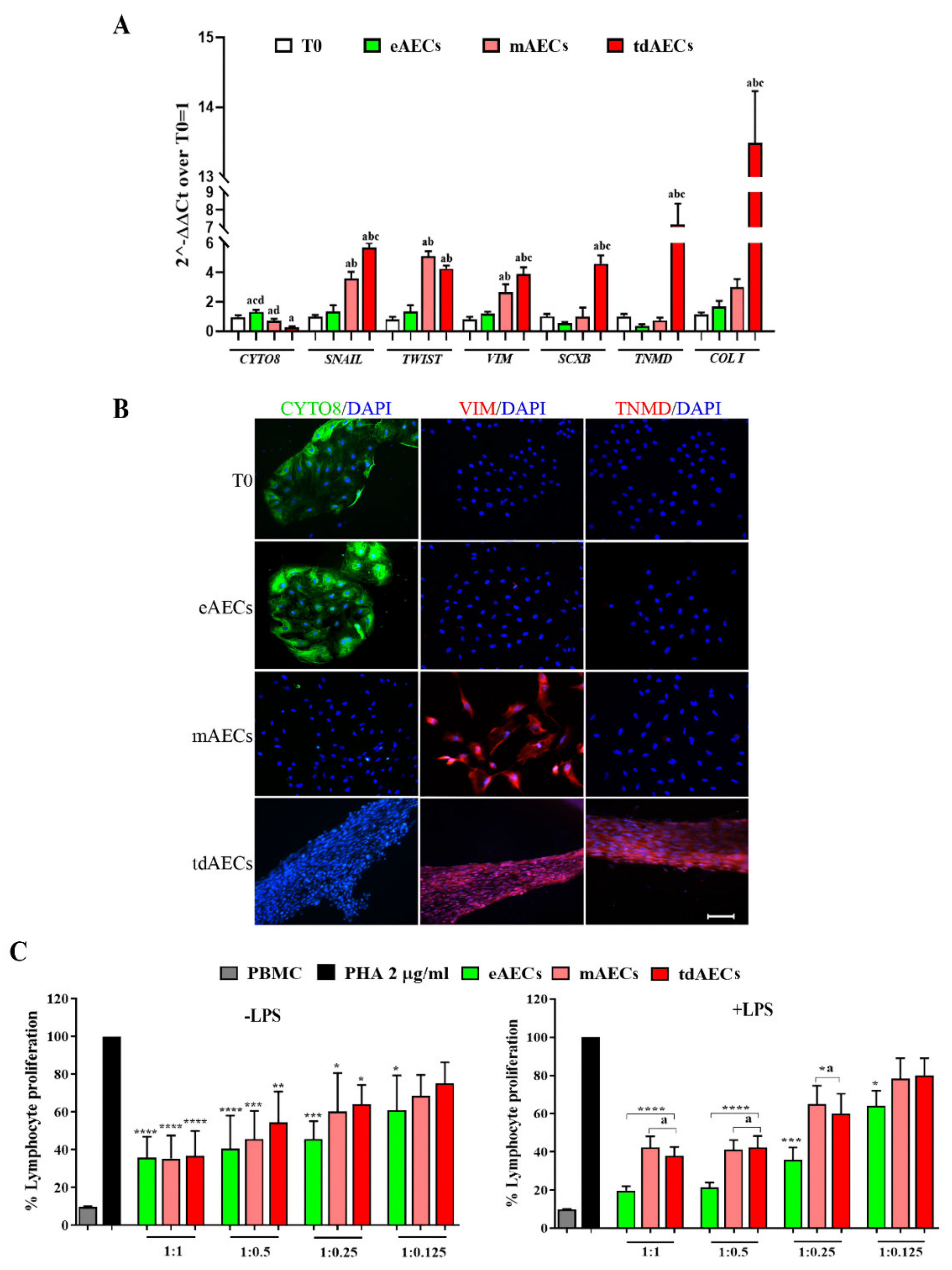 Biomedicines 10 01177 g002 Biomedicines 10 01177 g002
