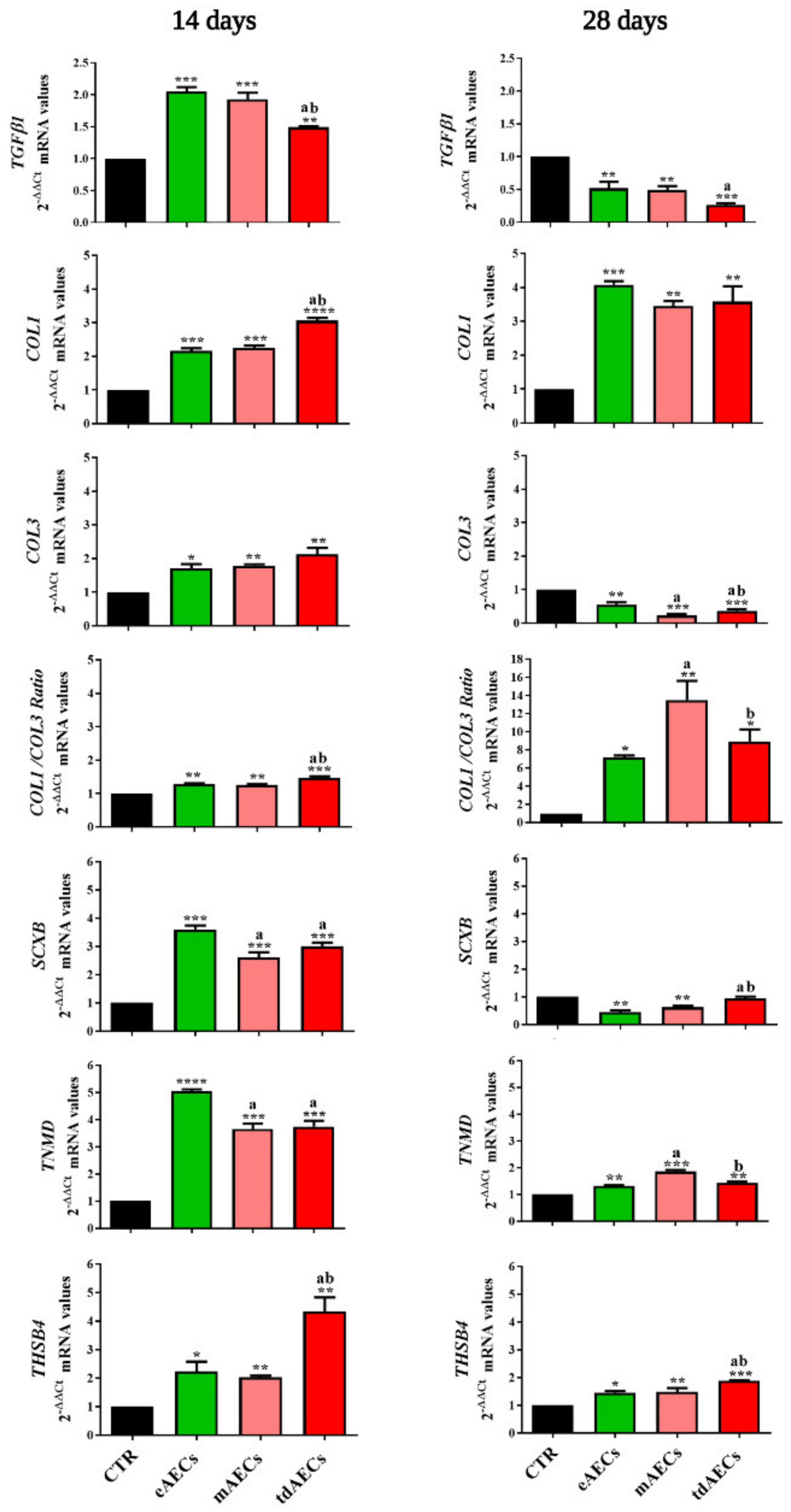 Biomedicines 10 01177 g004 Biomedicines 10 01177 g004