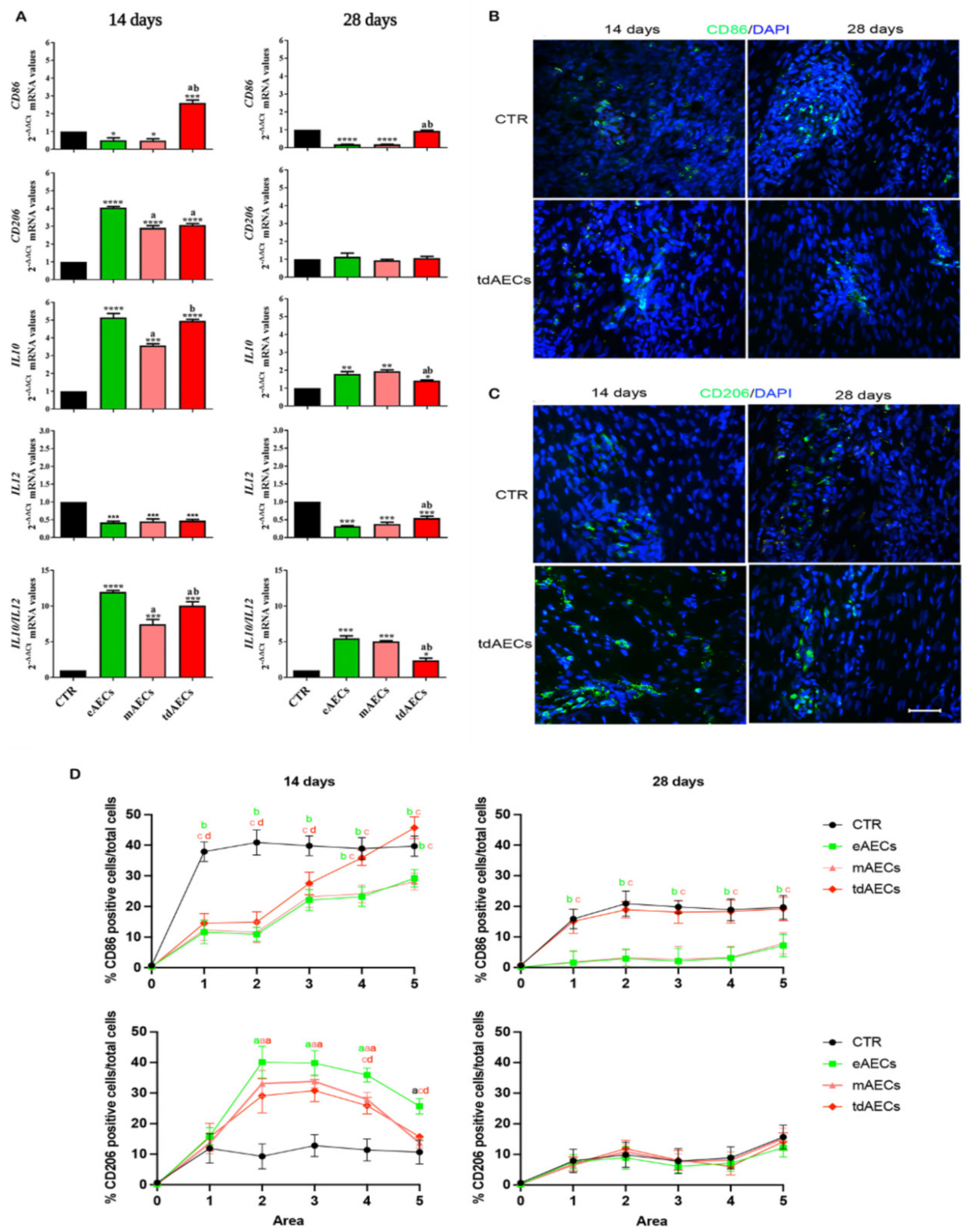 Biomedicines 10 01177 g010 Biomedicines 10 01177 g010