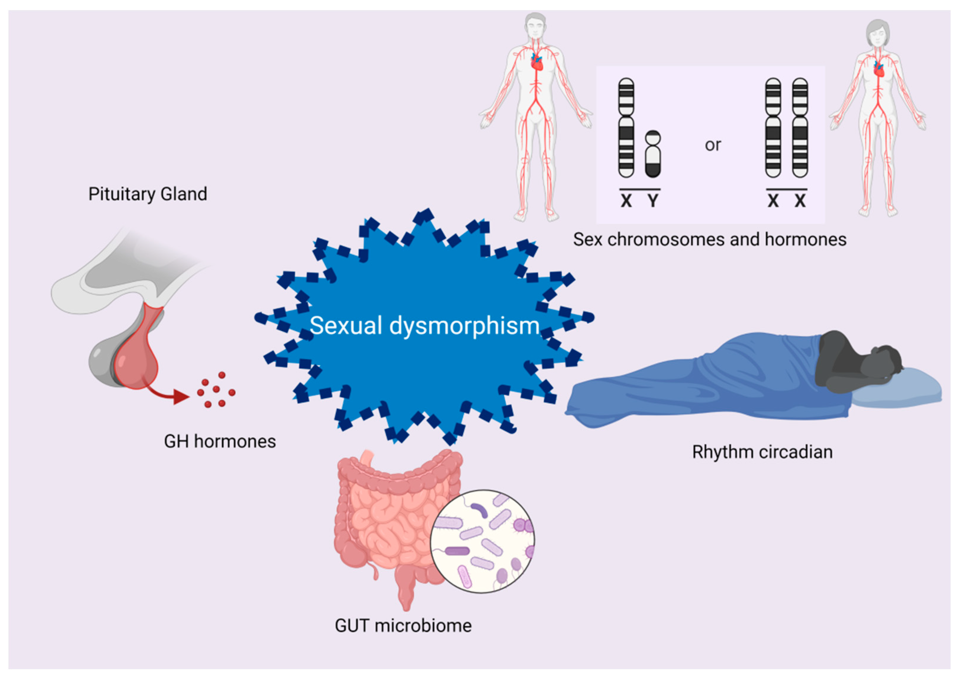 Biomedicines 10 01184 g003