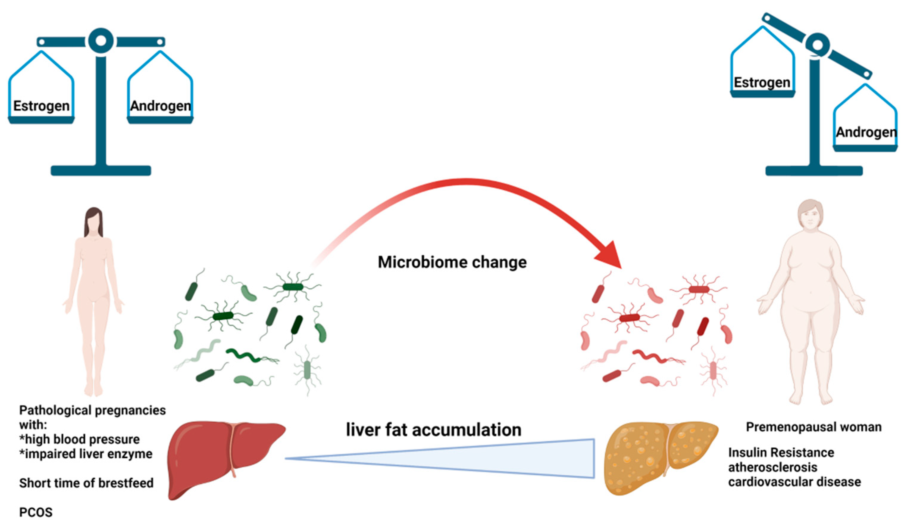 Biomedicines 10 01184 g006