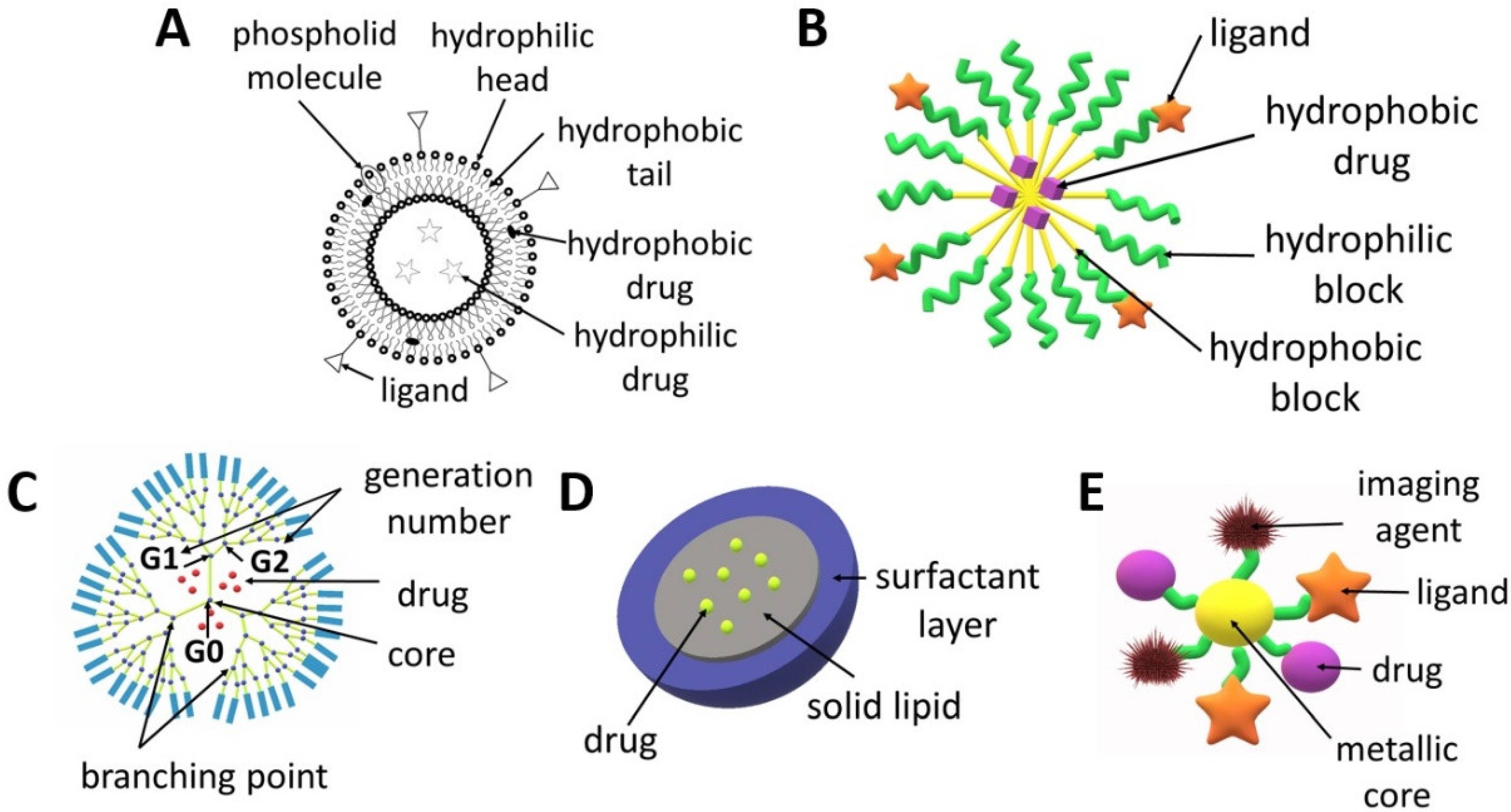 Biomedicines 10 01187 g002 Biomedicines 10 01187 g002