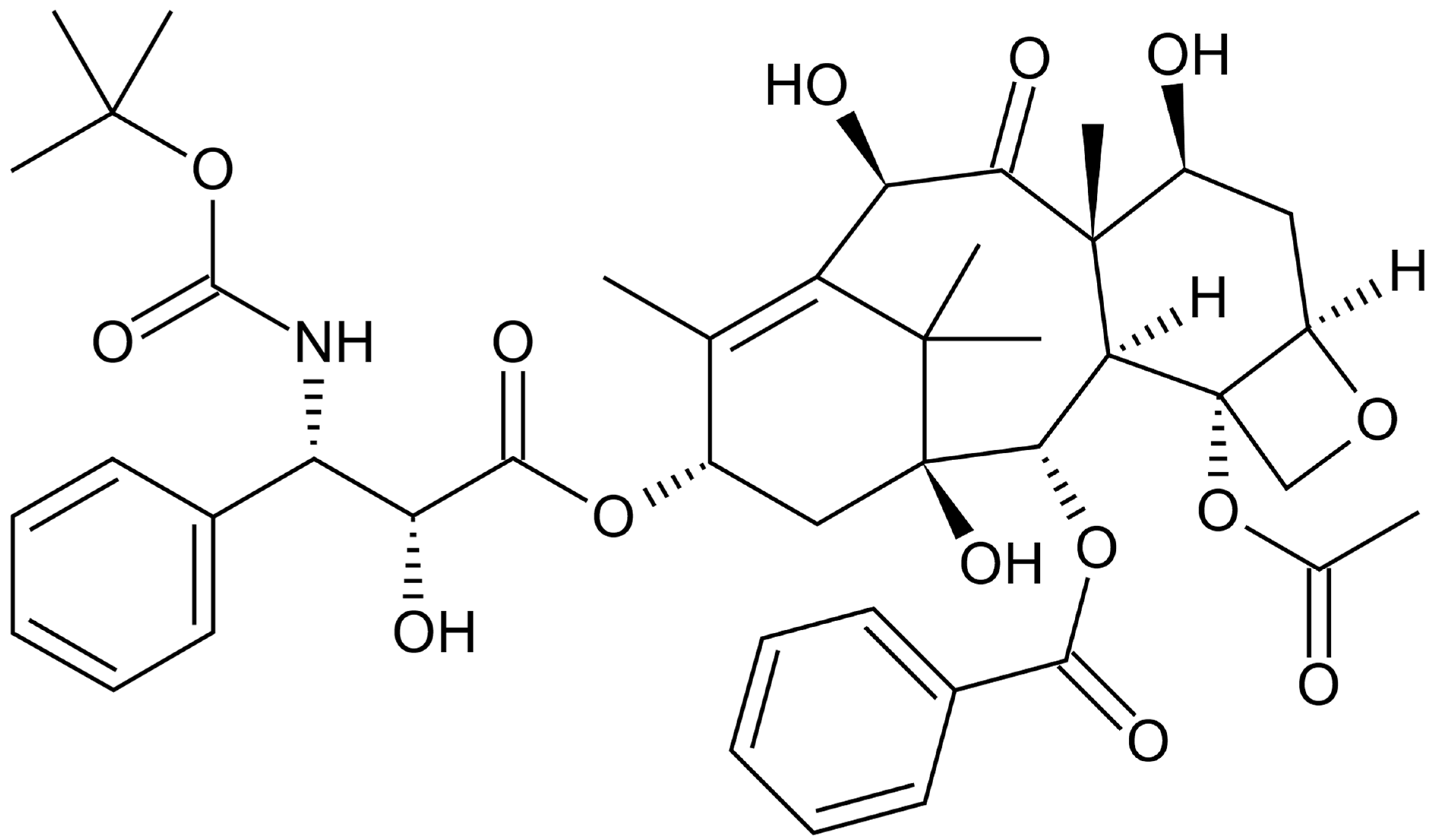 Biomedicines 10 01187 g003 Biomedicines 10 01187 g003