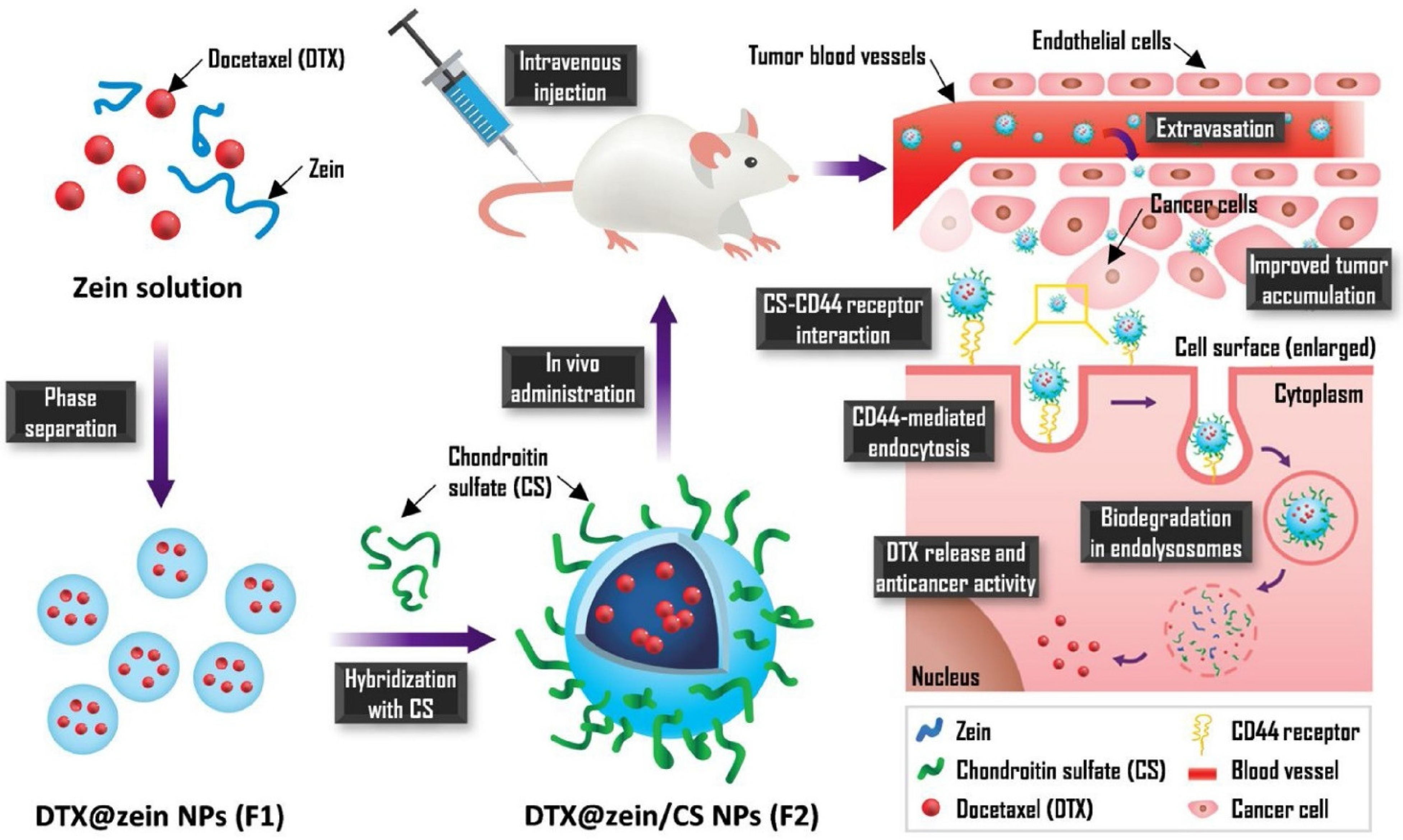 Biomedicines 10 01187 g005 Biomedicines 10 01187 g005