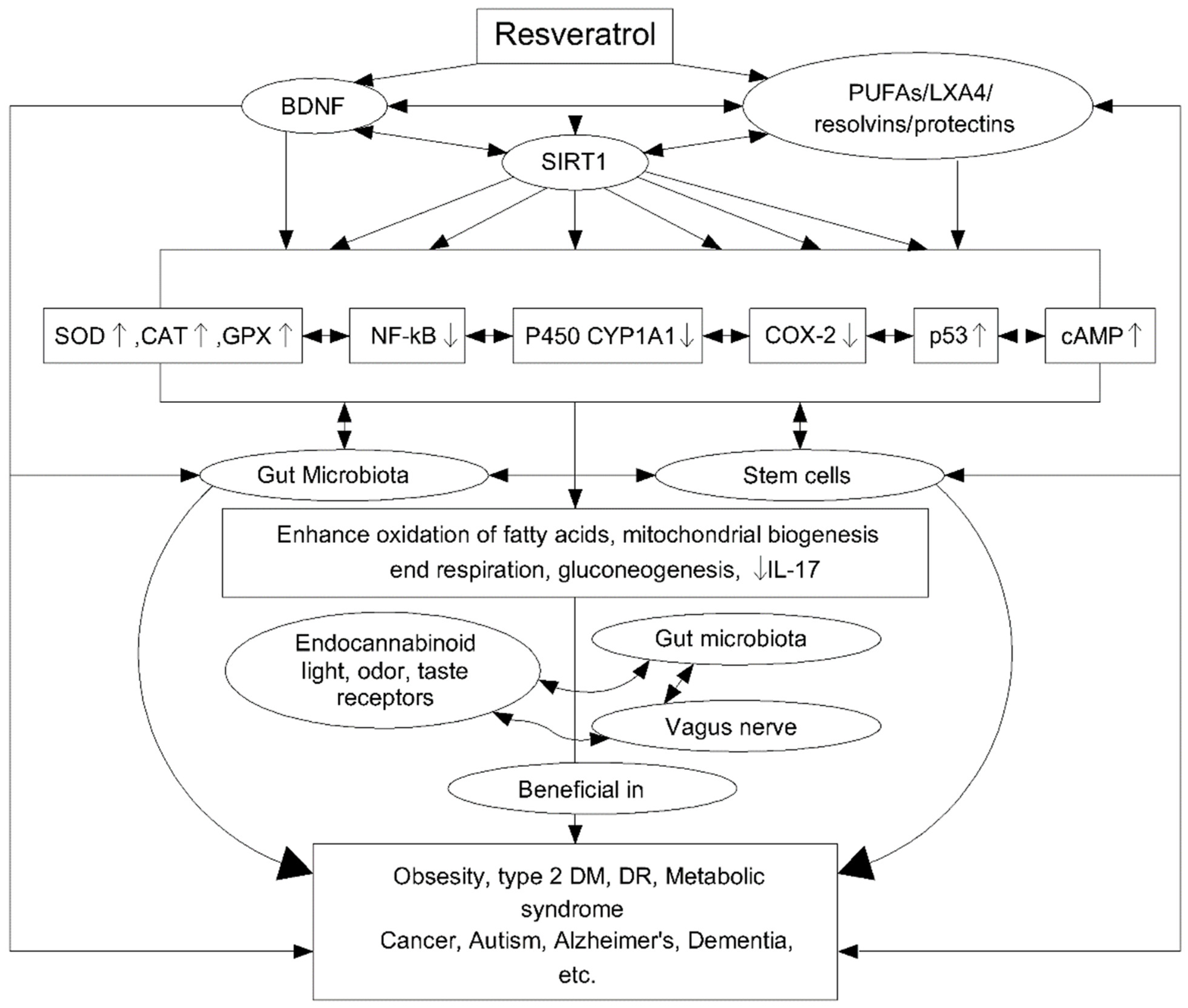 Biomedicines 10 01187 g007 Biomedicines 10 01187 g007