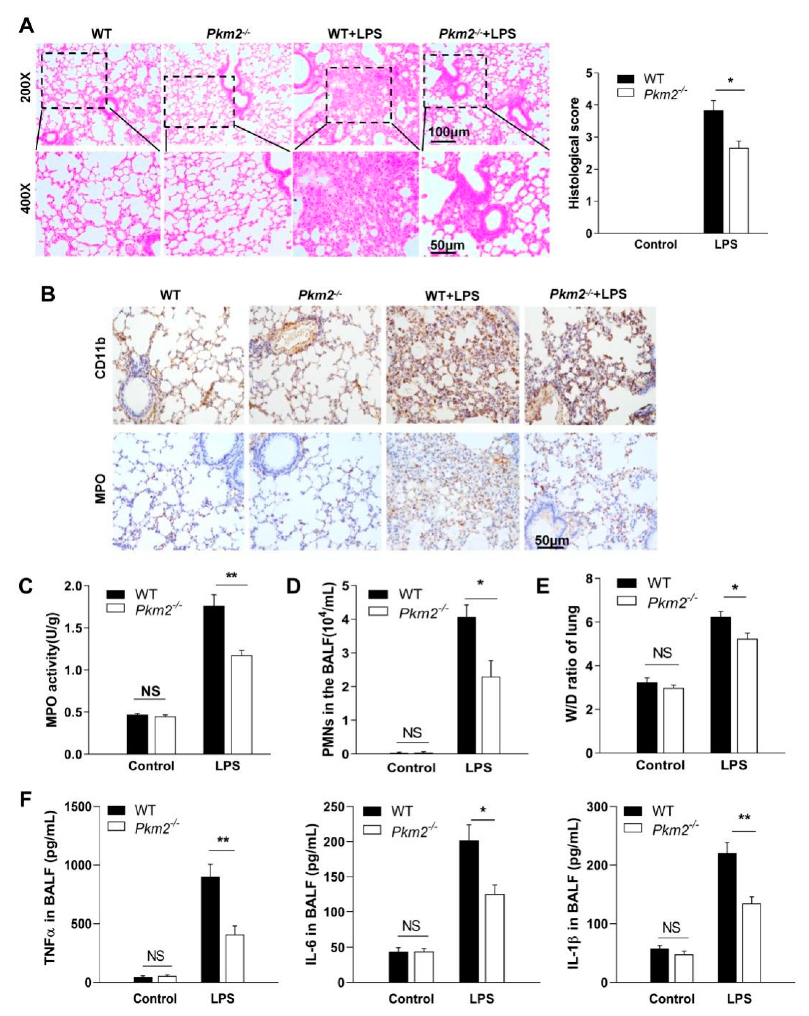 Biomedicines 10 01193 g004 550
