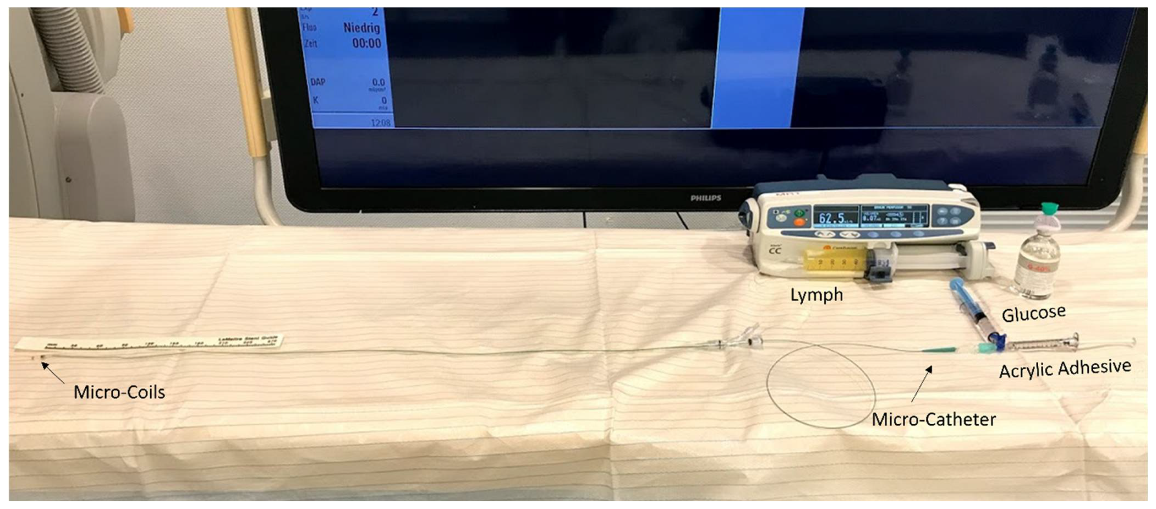 Biomedicines 10 01195 g002 Biomedicines 10 01195 g002