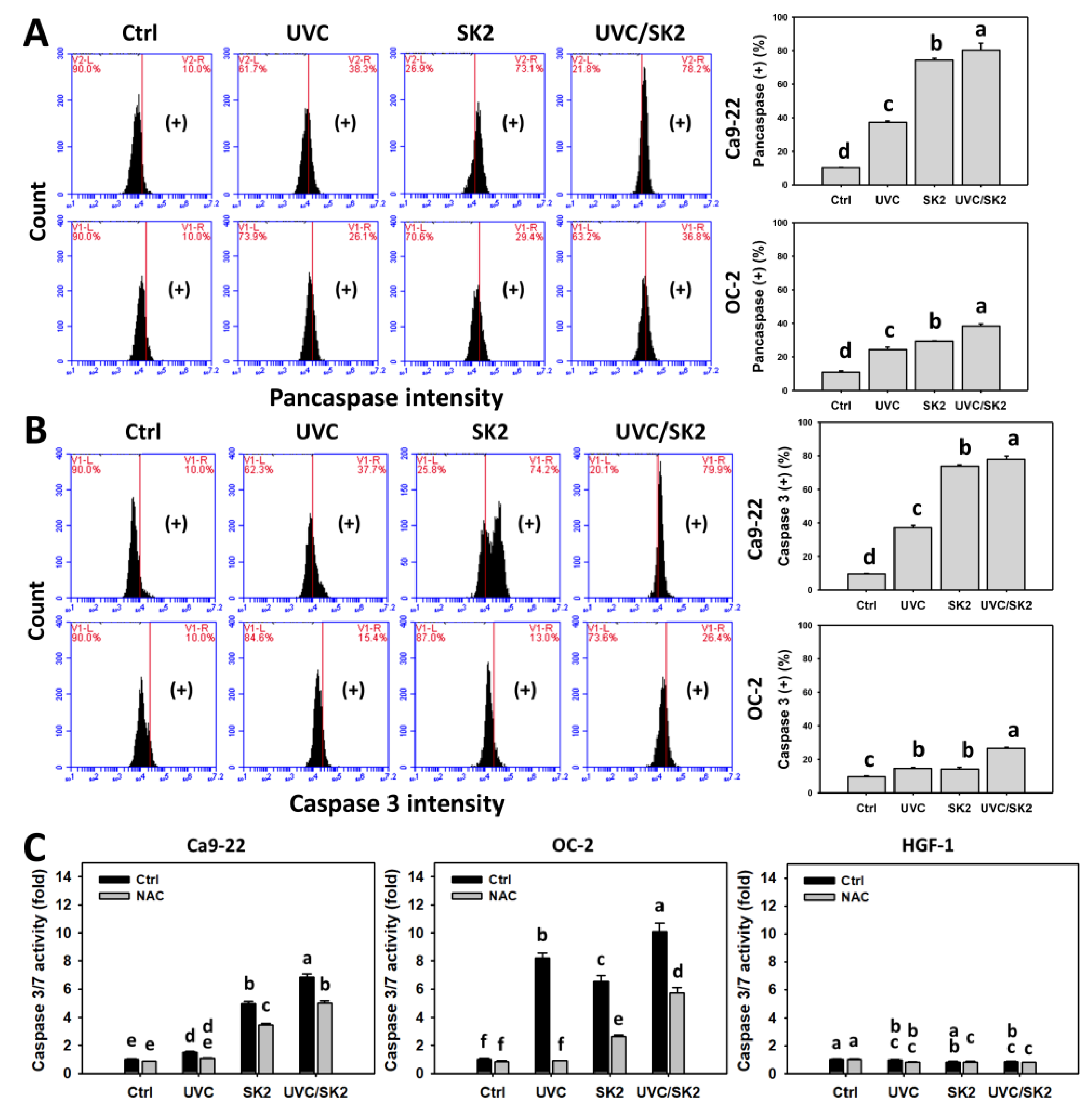Biomedicines 10 01196 g007 Biomedicines 10 01196 g007