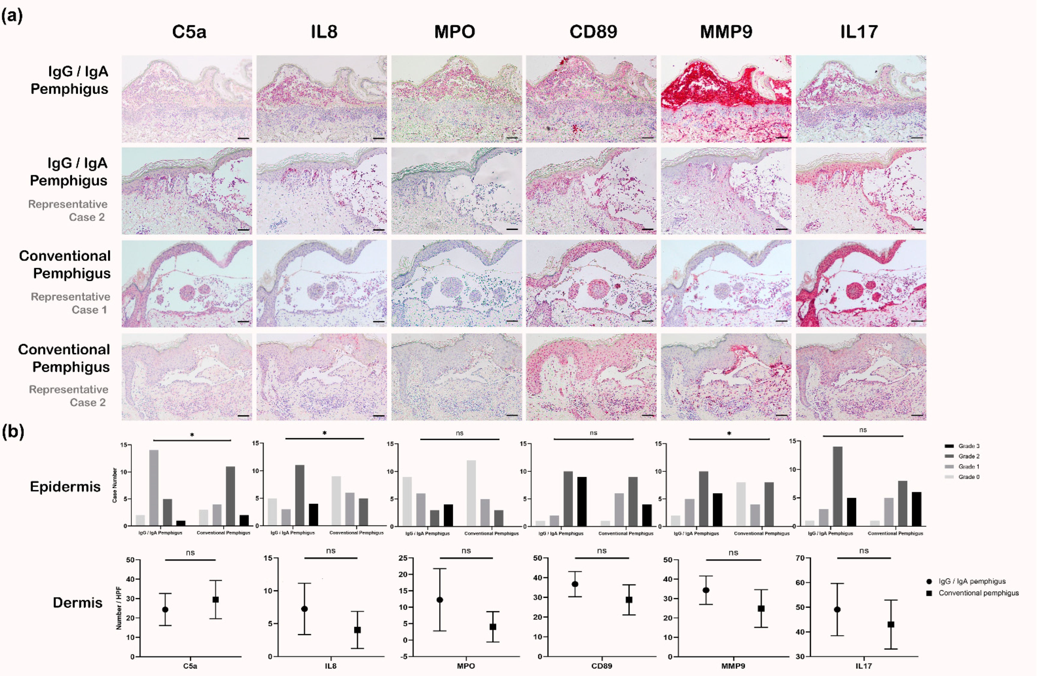Biomedicines 10 01197 g003 550