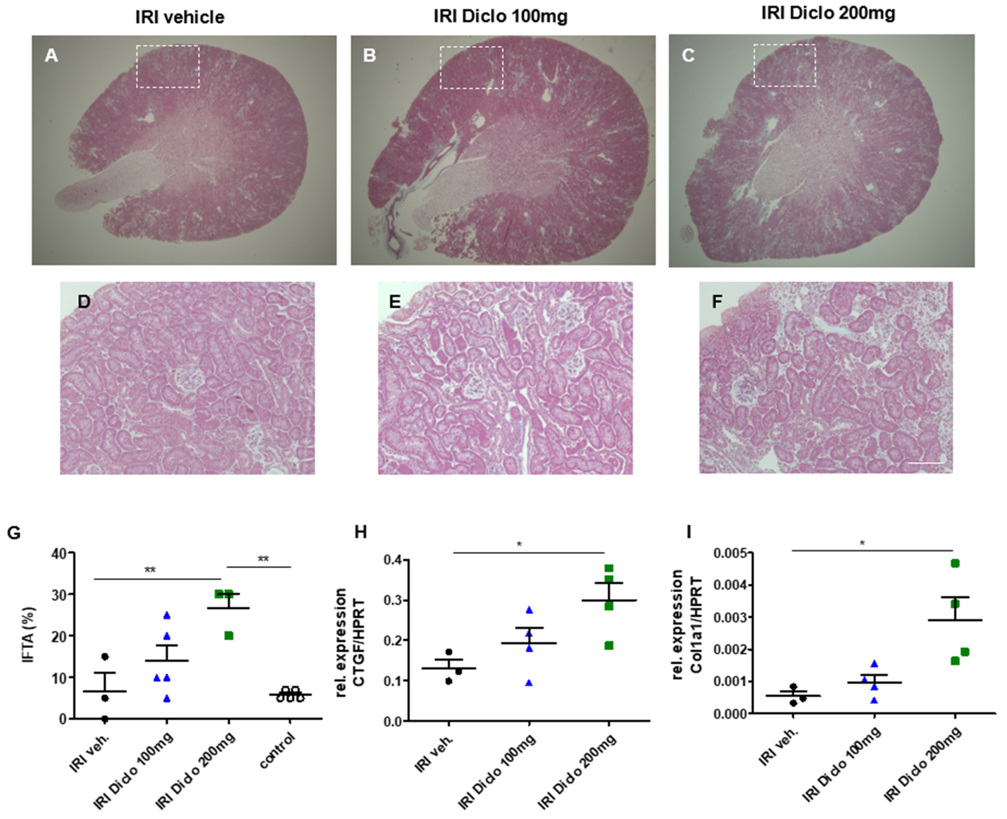 Biomedicines 10 01198 g002