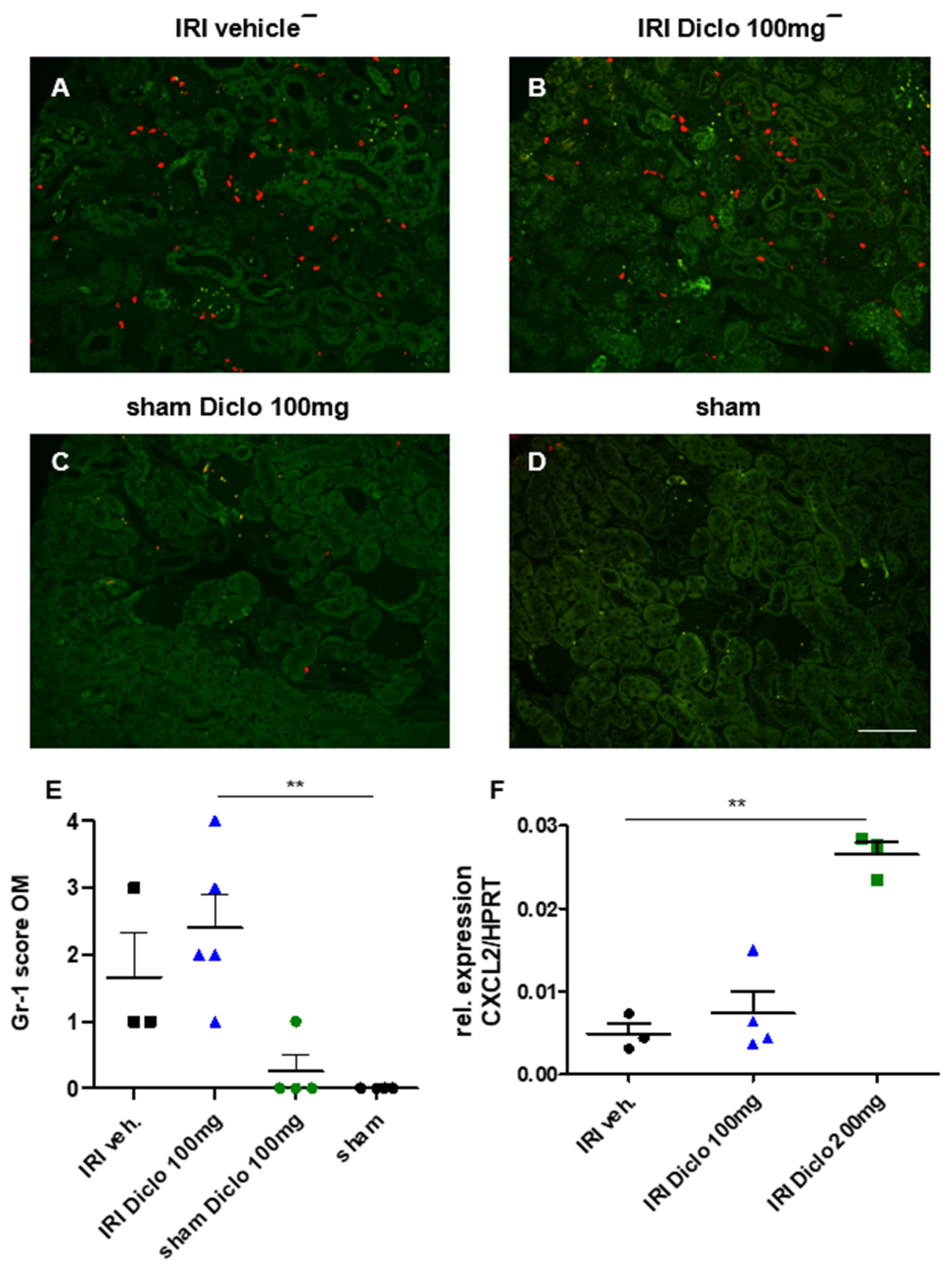Biomedicines 10 01198 g004