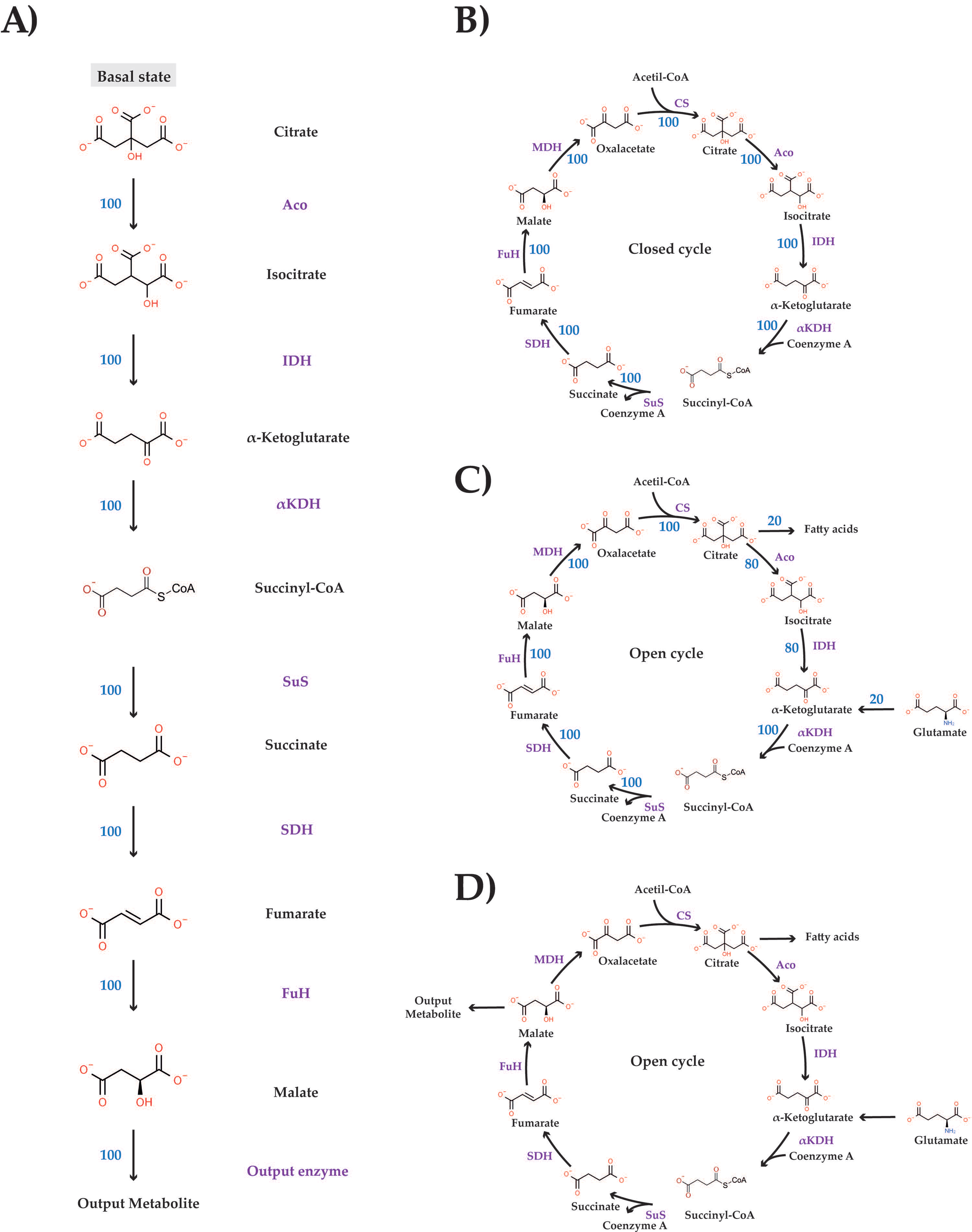 Biomedicines 10 01199 g001 550