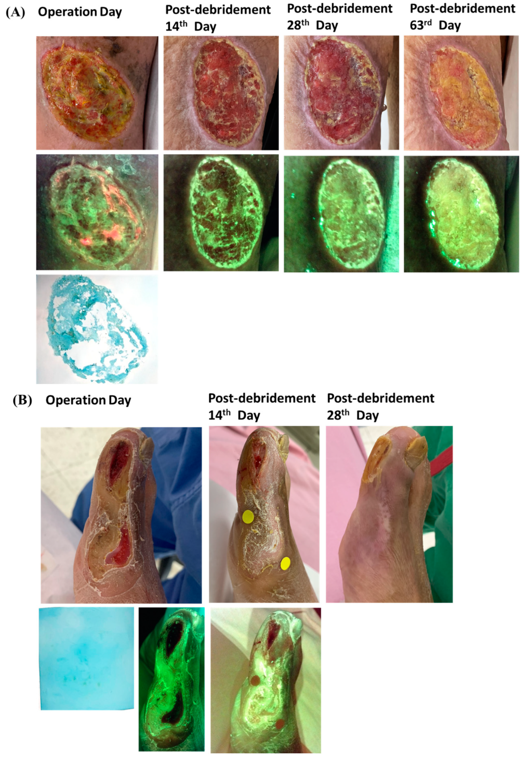 Biomedicines 10 01200 g002