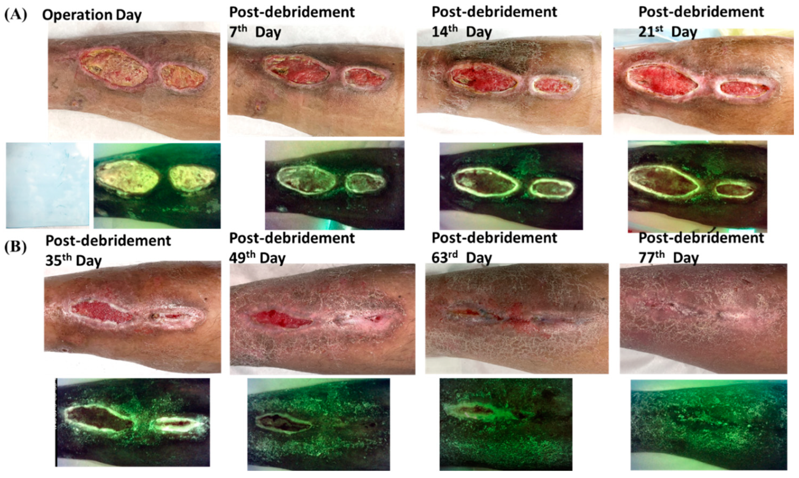 Biomedicines 10 01200 g003