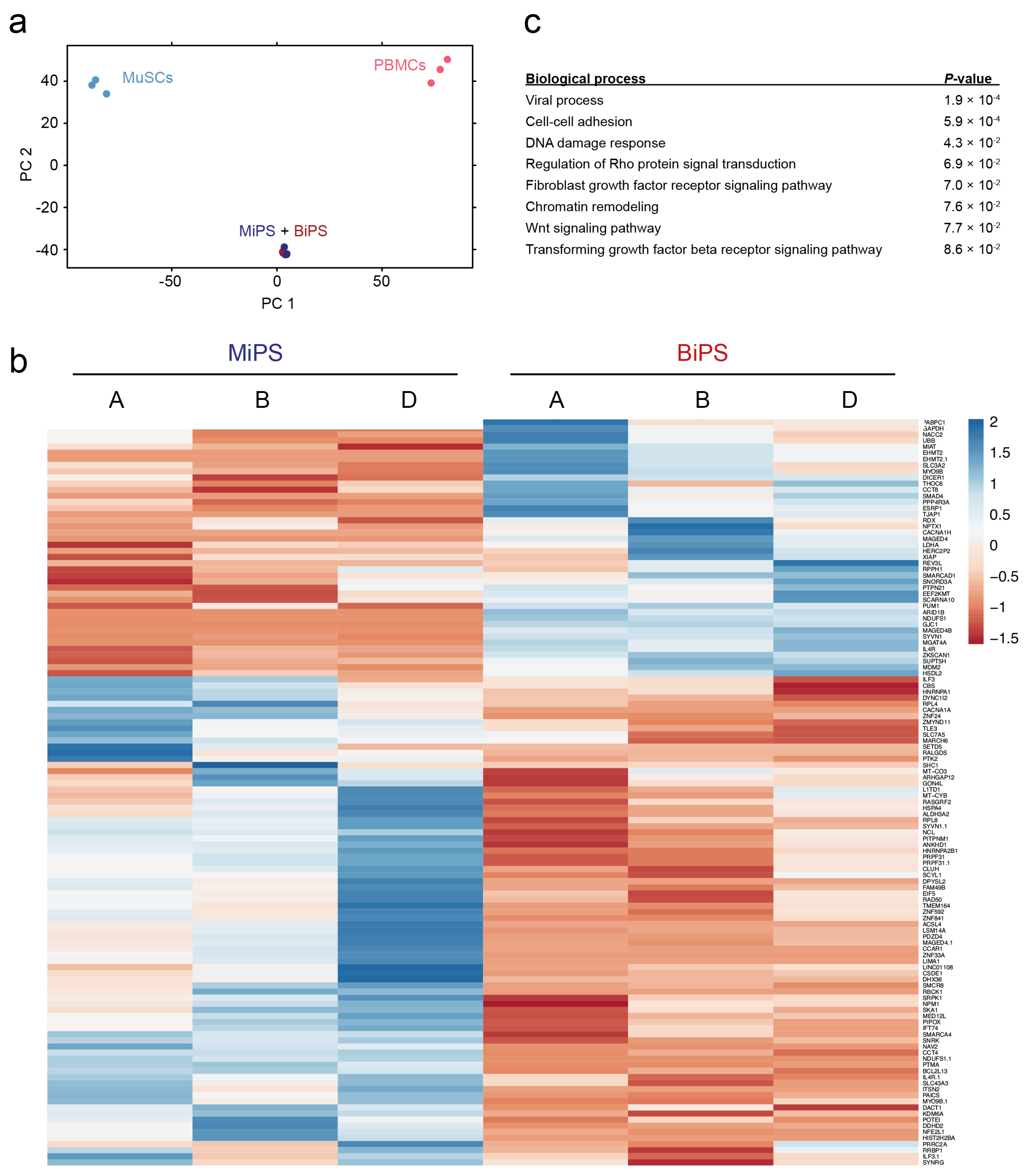 Biomedicines 10 01204 g002