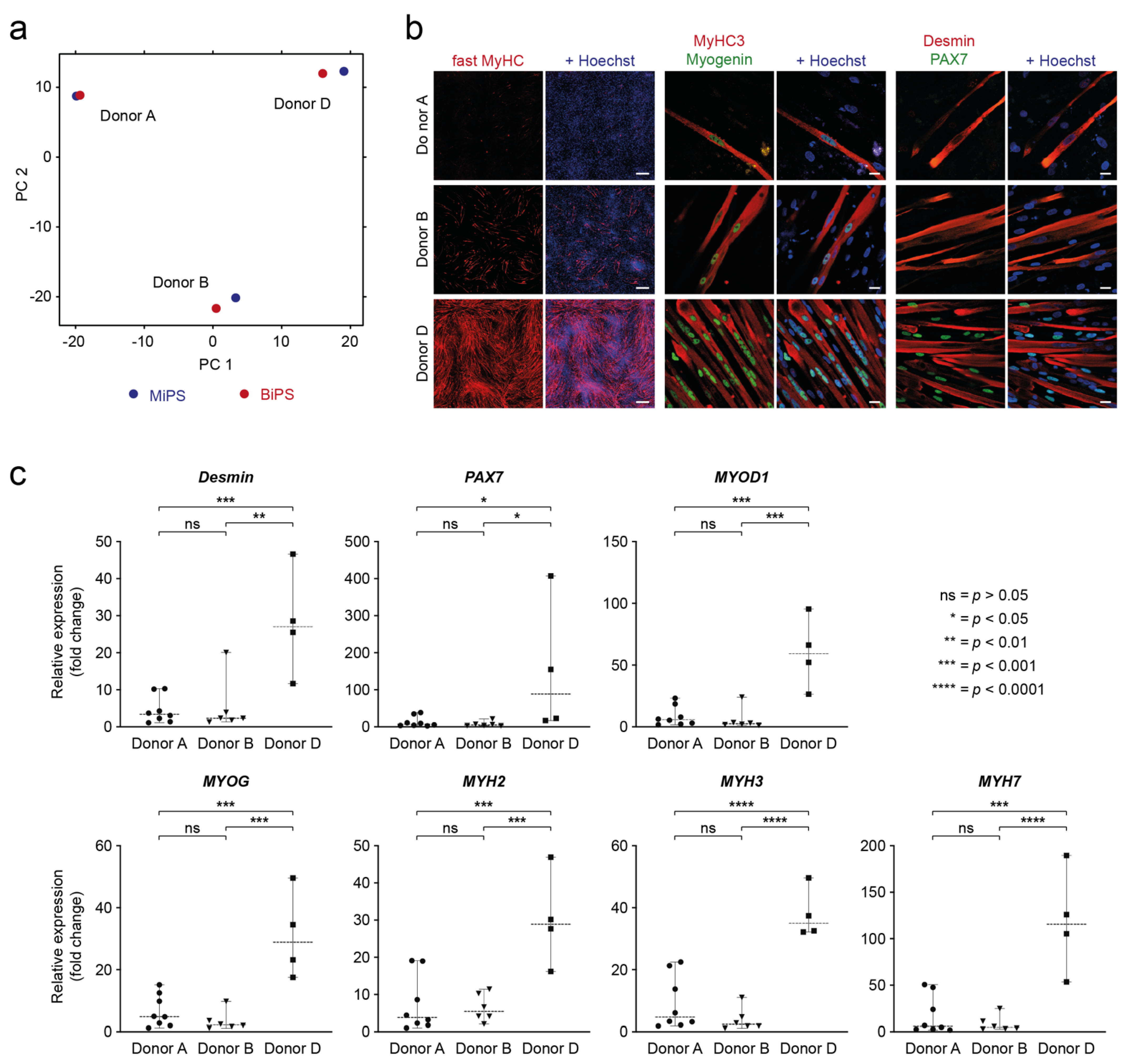 Biomedicines 10 01204 g005