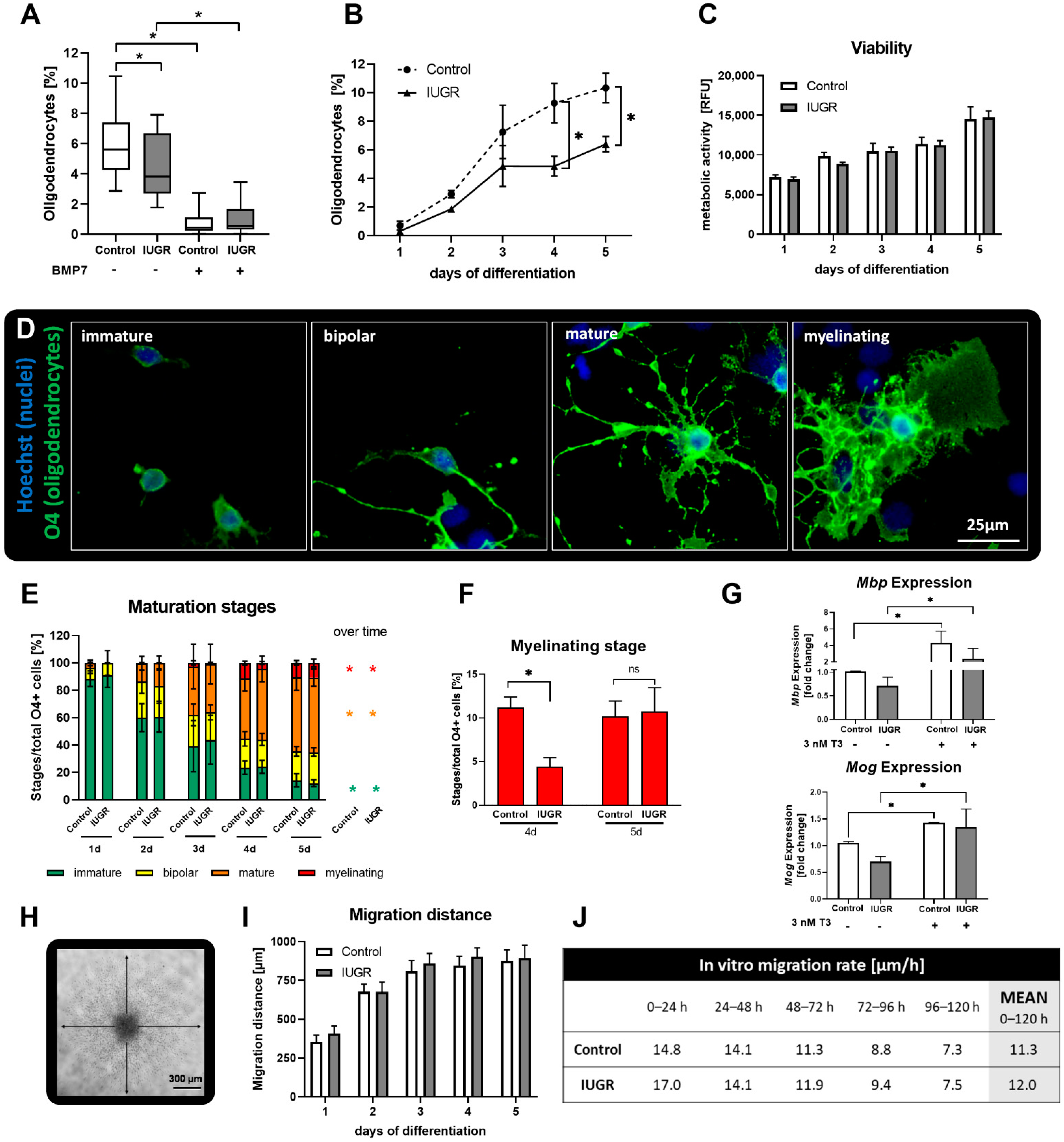 Biomedicines 10 01205 g002 550
