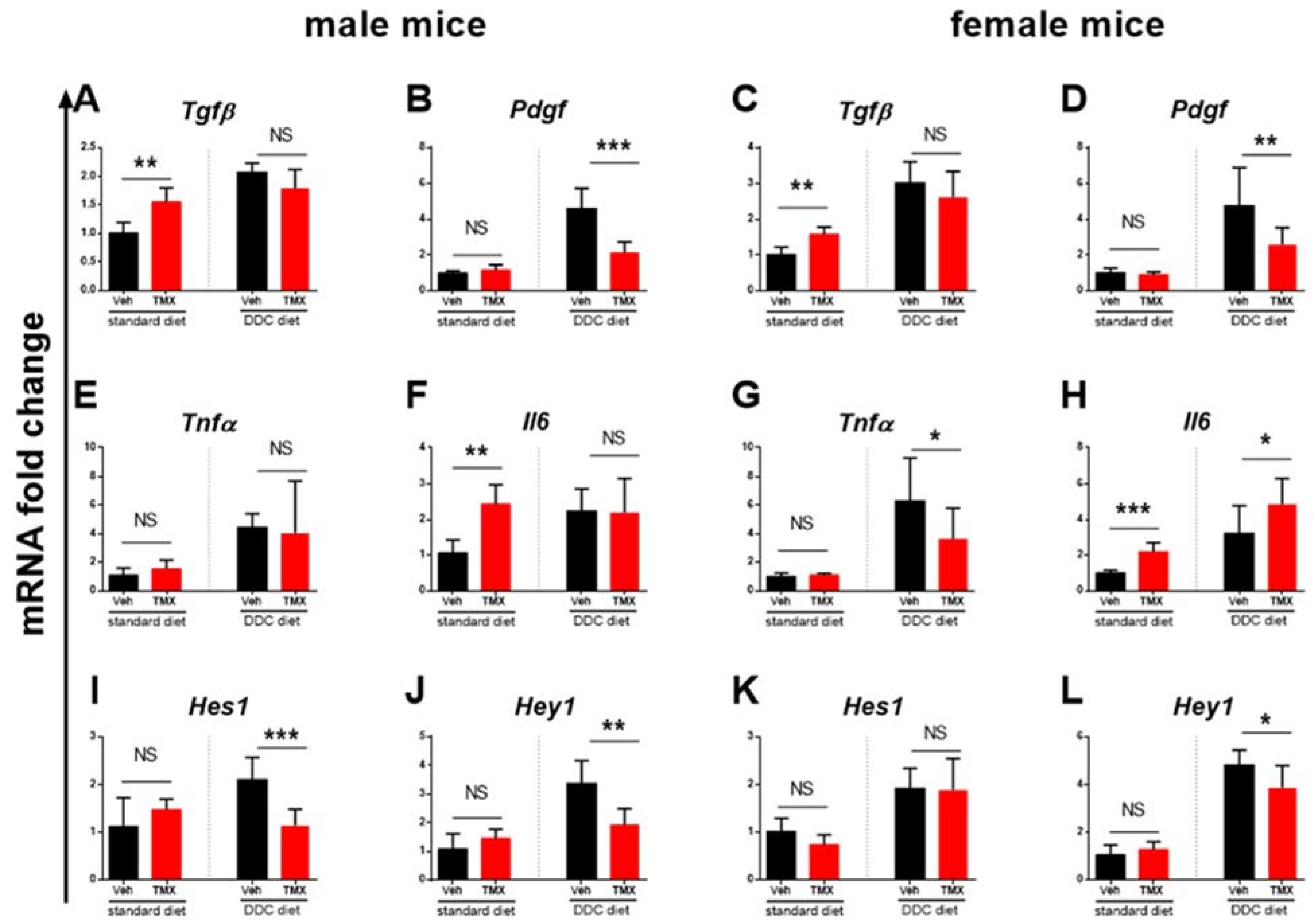 Biomedicines 10 01209 g004 550