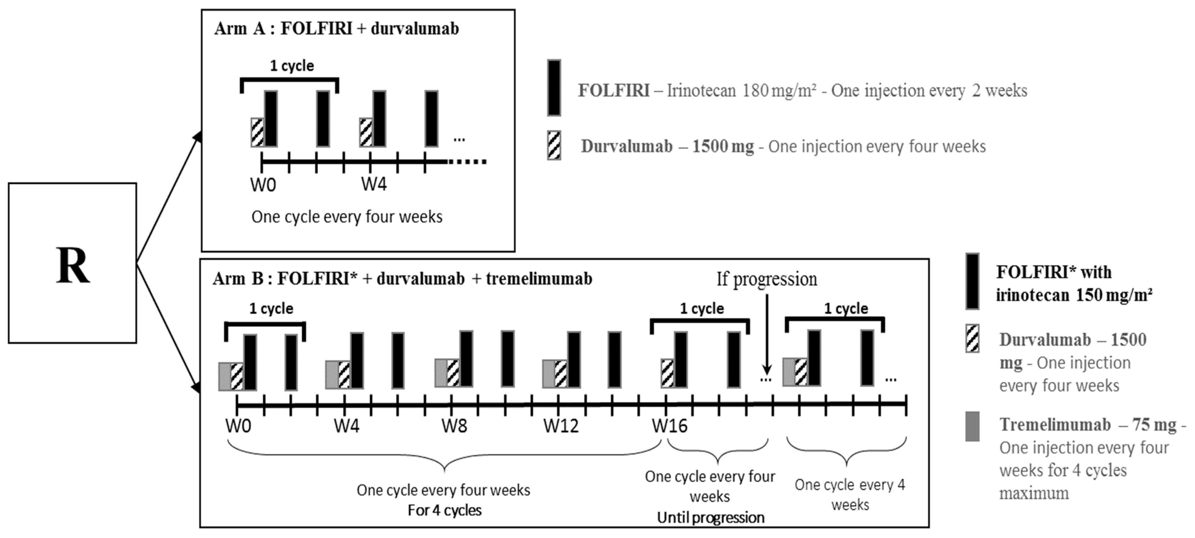 Biomedicines 10 01211 g001 550