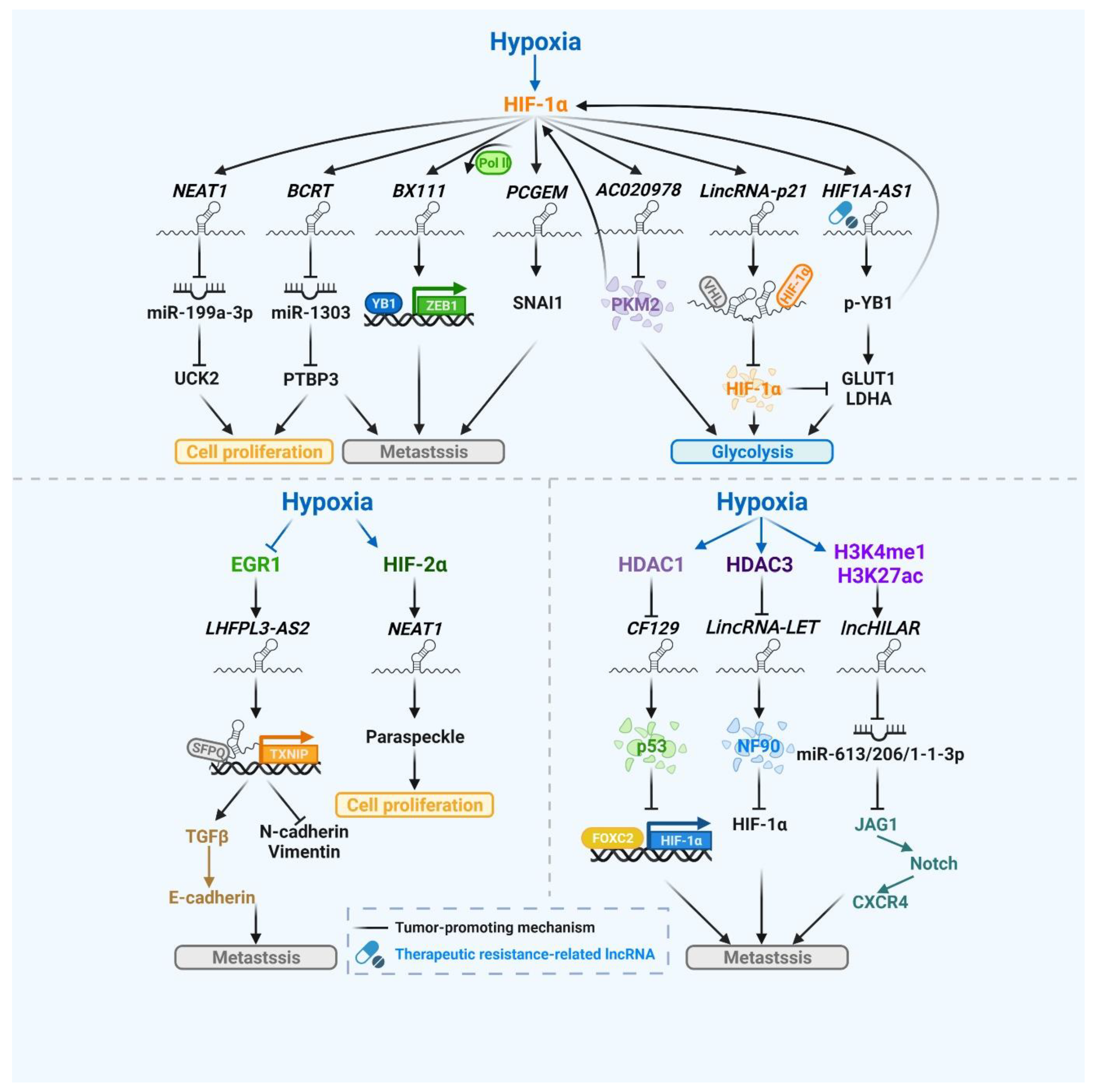 Biomedicines 10 01212 g002 550