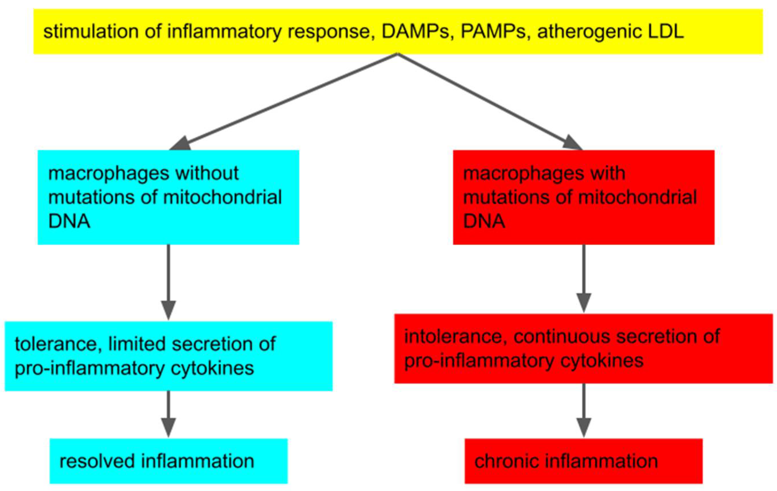 Biomedicines 10 01215 g001 550