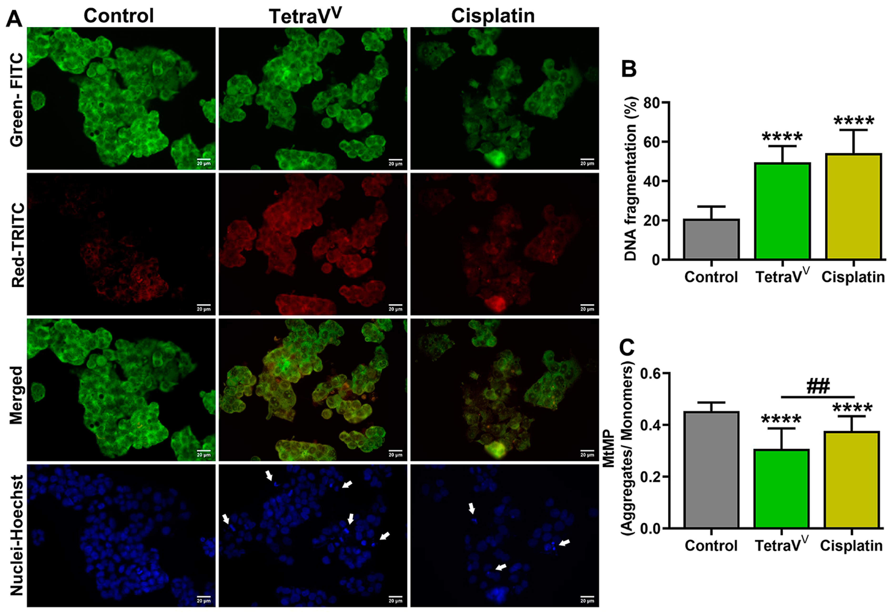 Biomedicines 10 01217 g008 550