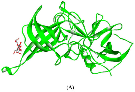 Immunomodulatory Properties of Human Breast Milk: MicroRNA