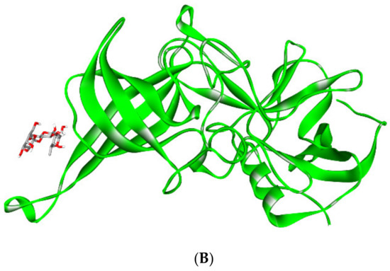 Immunomodulatory Properties of Human Breast Milk: MicroRNA