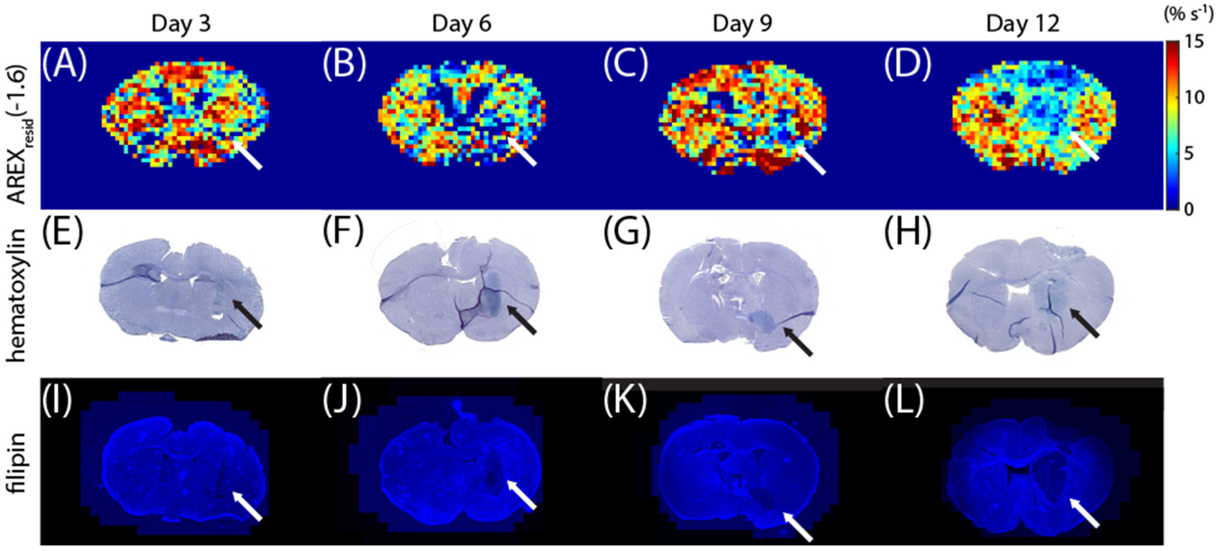 Biomedicines 10 01220 g004 550