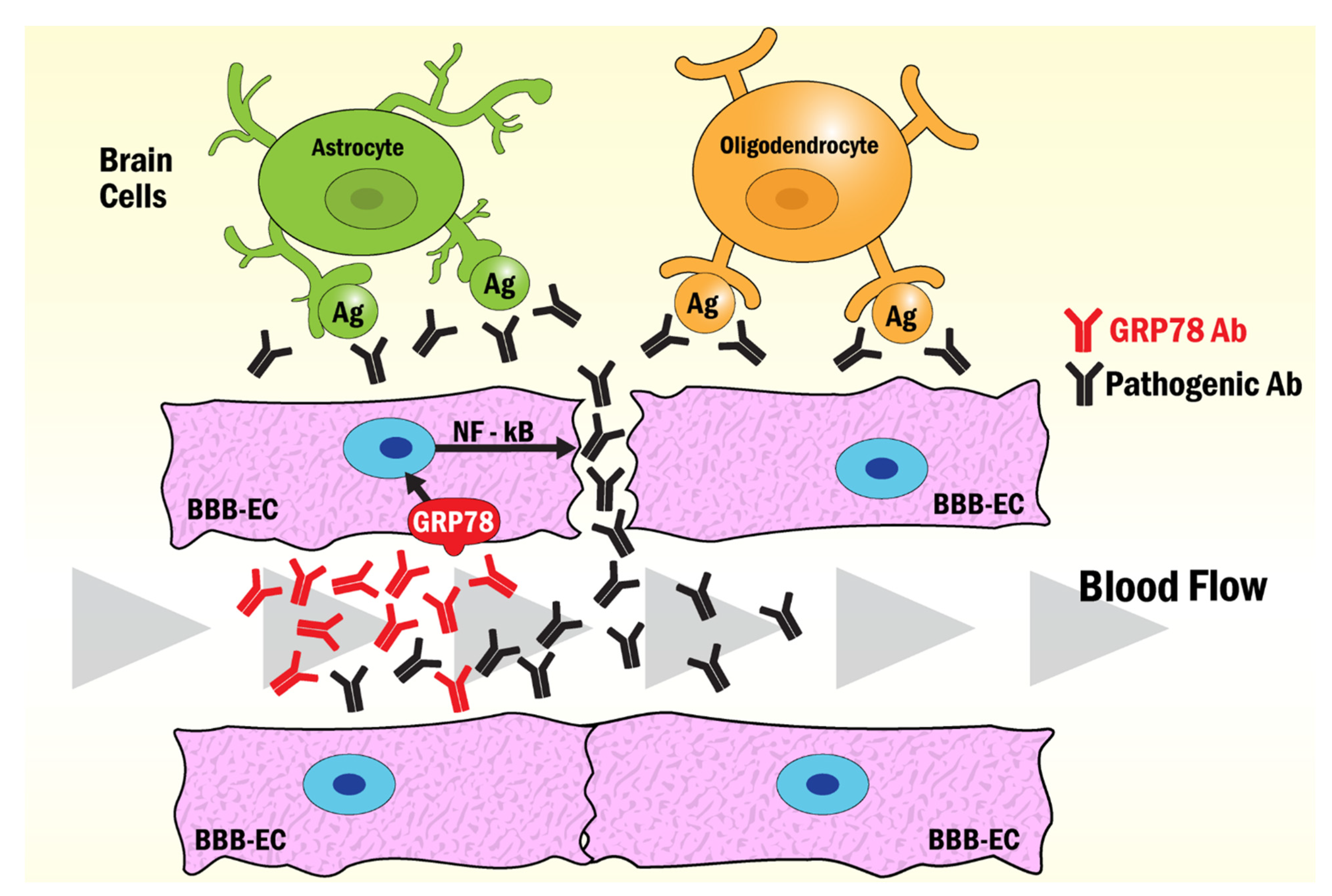 Biomedicines 10 01222 g002 Biomedicines 10 01222 g002